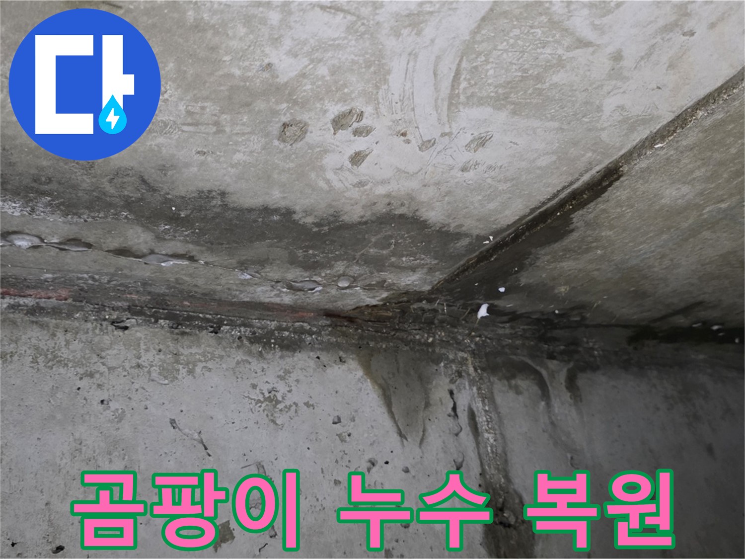 남양주 오남 곰팡이 누수 - 쾌적한 공간으로 되돌리기