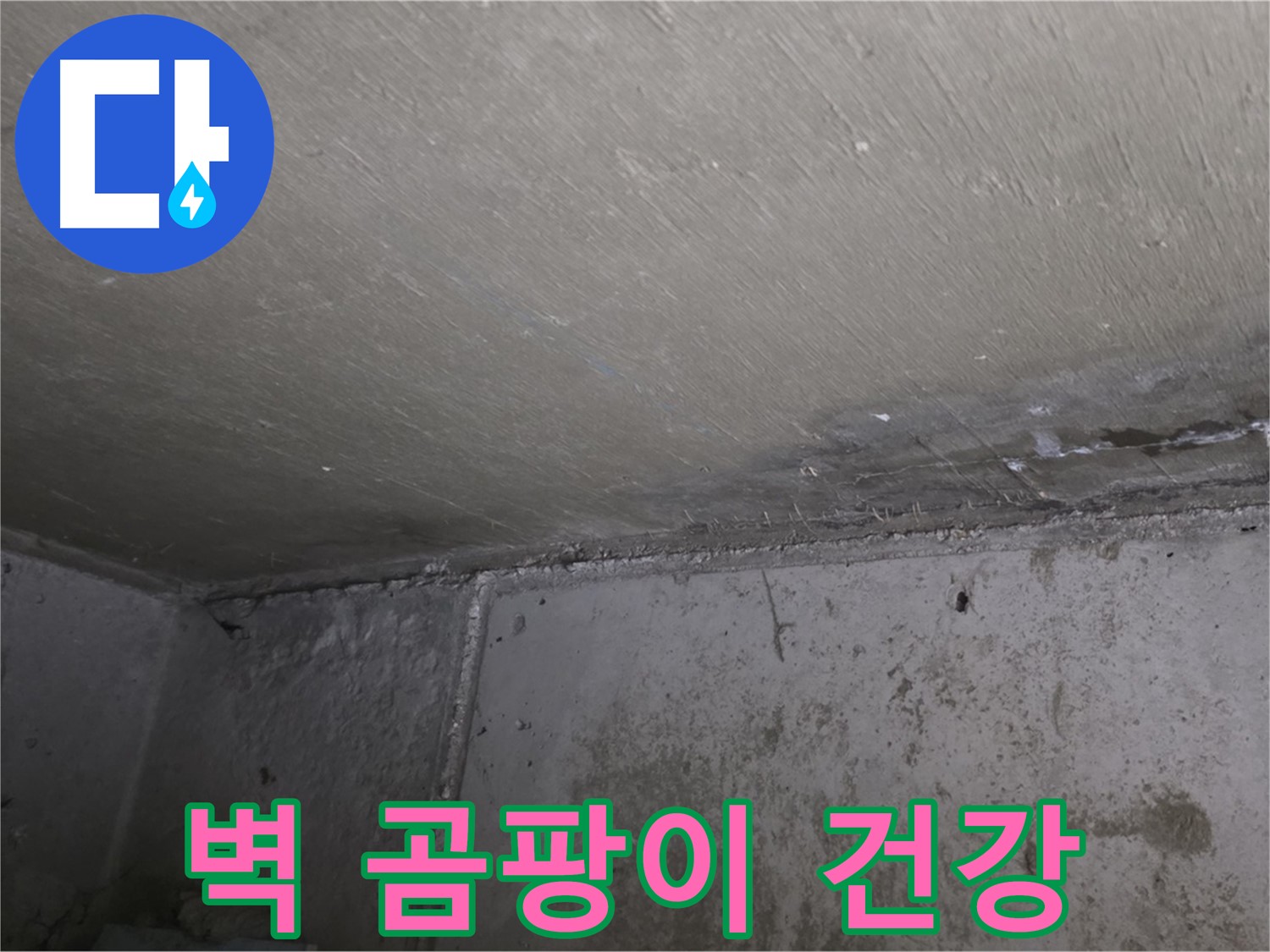 남양주 오남 두산아파트 벽 곰팡이 - 누수 해결이 우선