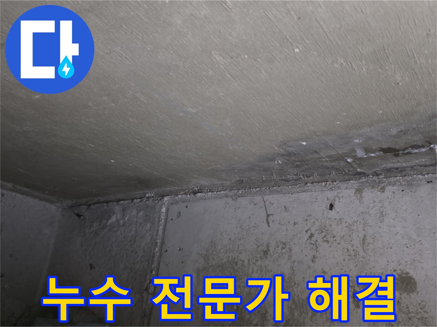 남양주 오남 아파트 벽 누수 곰팡이 - 전문가의 손길