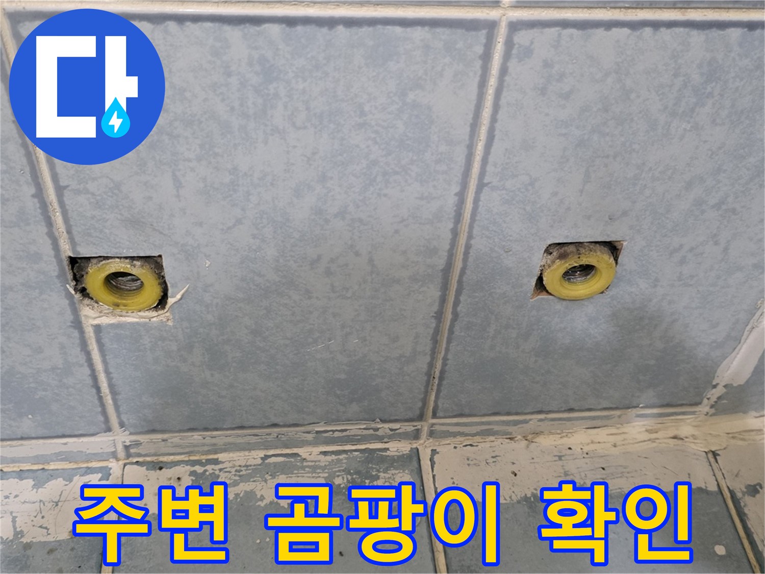 남양주 오남읍 누수 - 샤워 배관 연결 부위 주변 곰팡이 확인