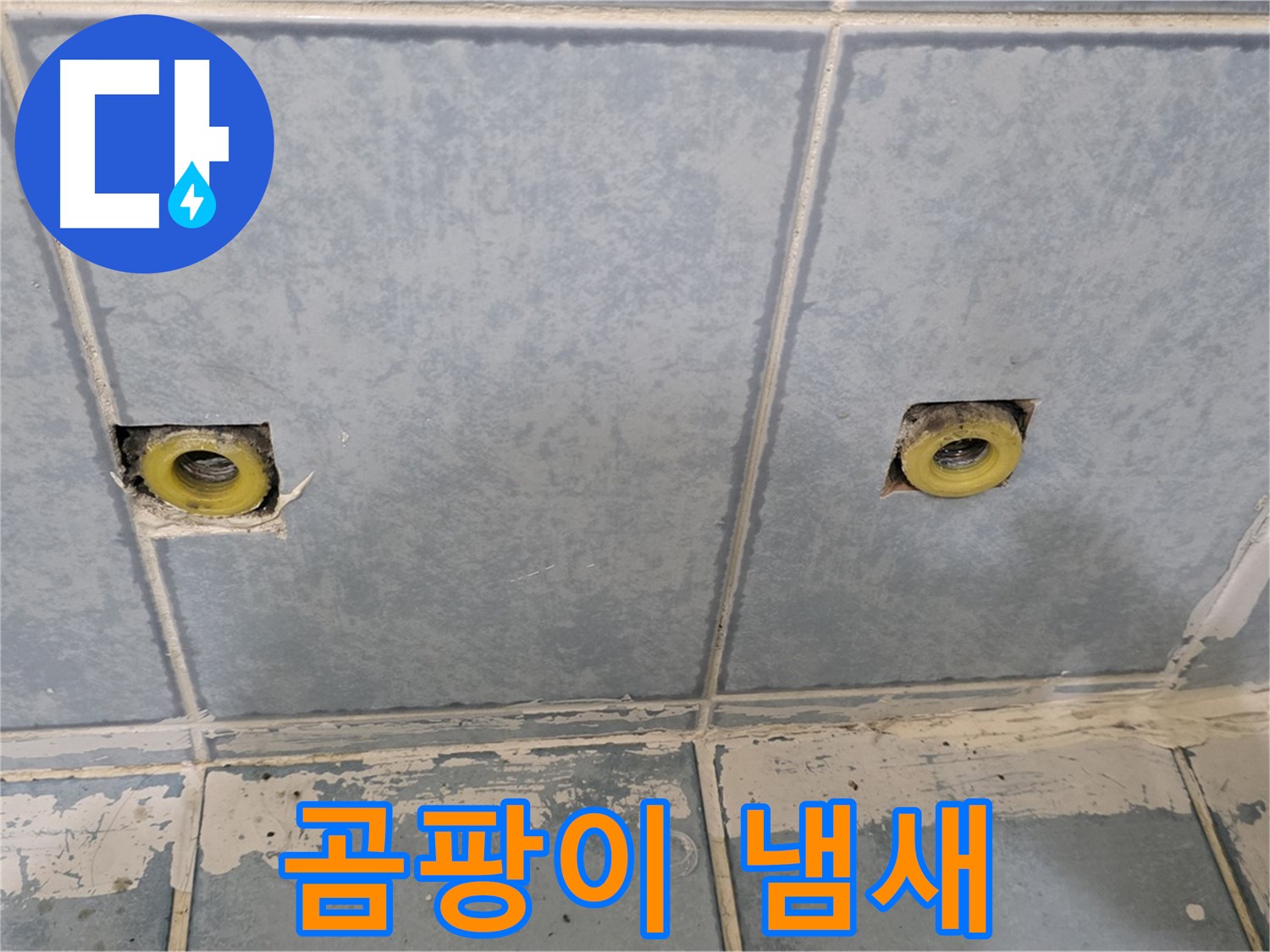 남양주 오남읍 누수 - 샤워 수전 연결부 주변 벽면 곰팡이 냄새 확인