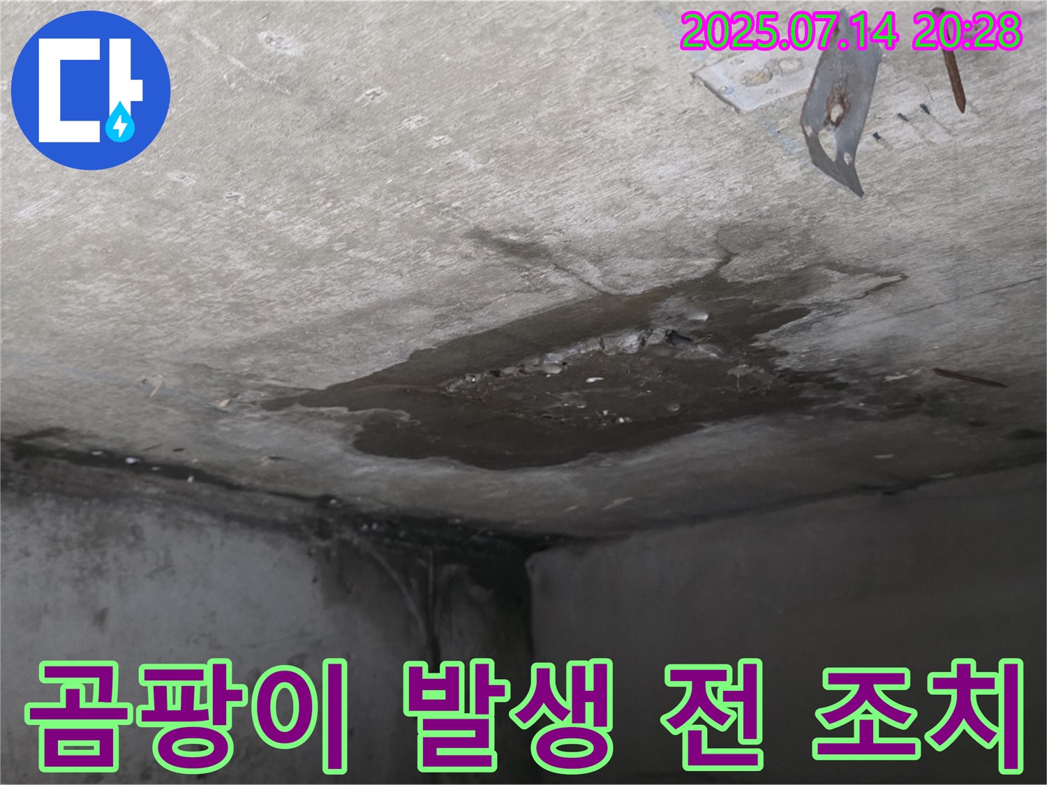 남양주시 오남읍 두산아파트 콘크리트 천장 누수 - 곰팡이 발생 전 조치가 필요한 상황