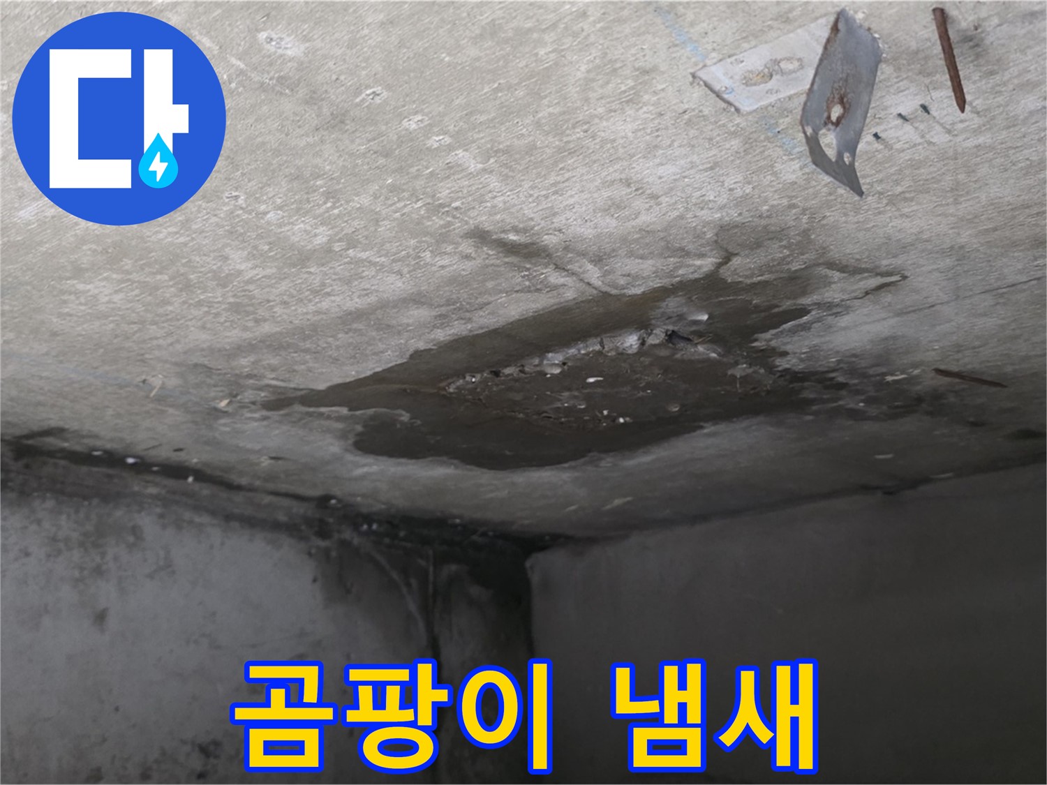 아래층 화장실의 심한 곰팡이 냄새 - 남양주 오남 아파트 누수 문제