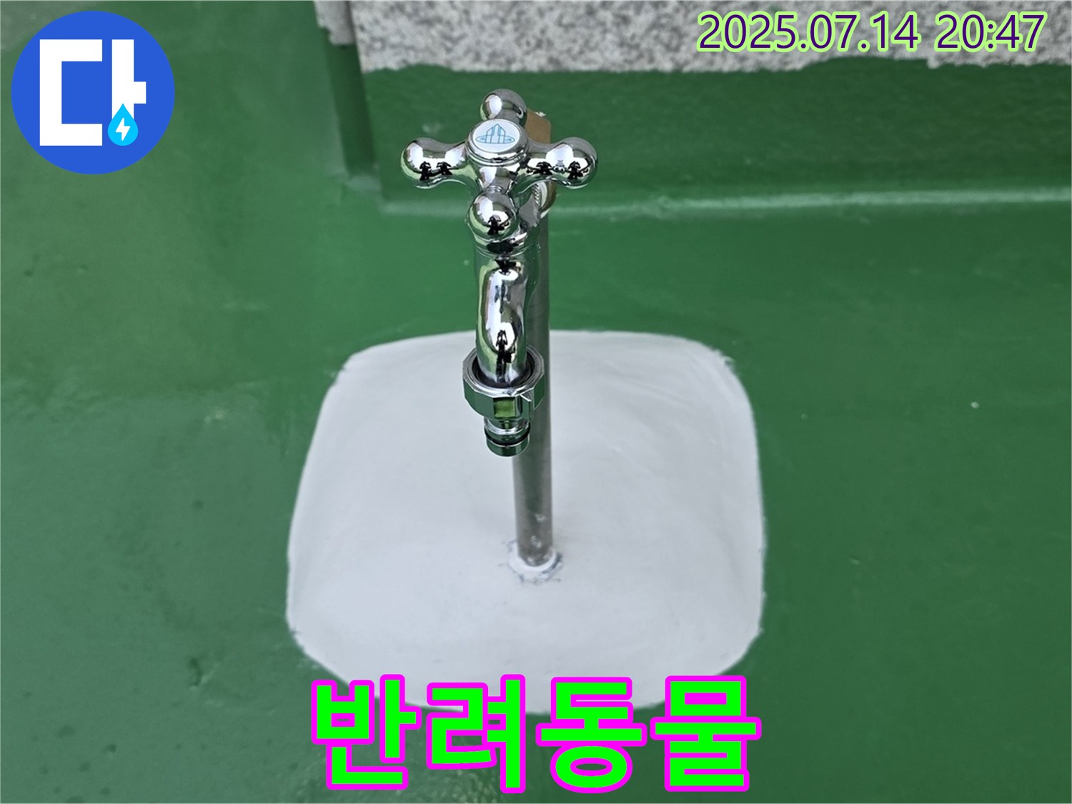 다산동 옥상 수도 누수 - 완벽 방수로 옥상에서 반려동물과 행복한 시간!