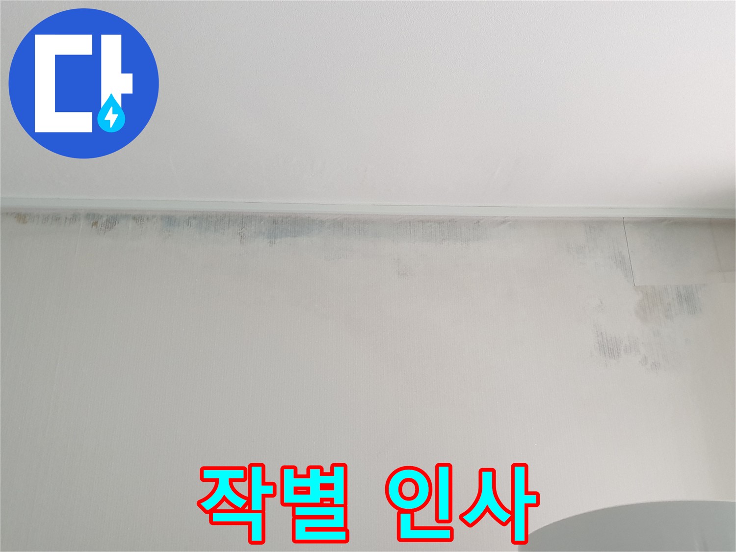 노원구 중계동 곰팡이 - 곰팡이와의 작별