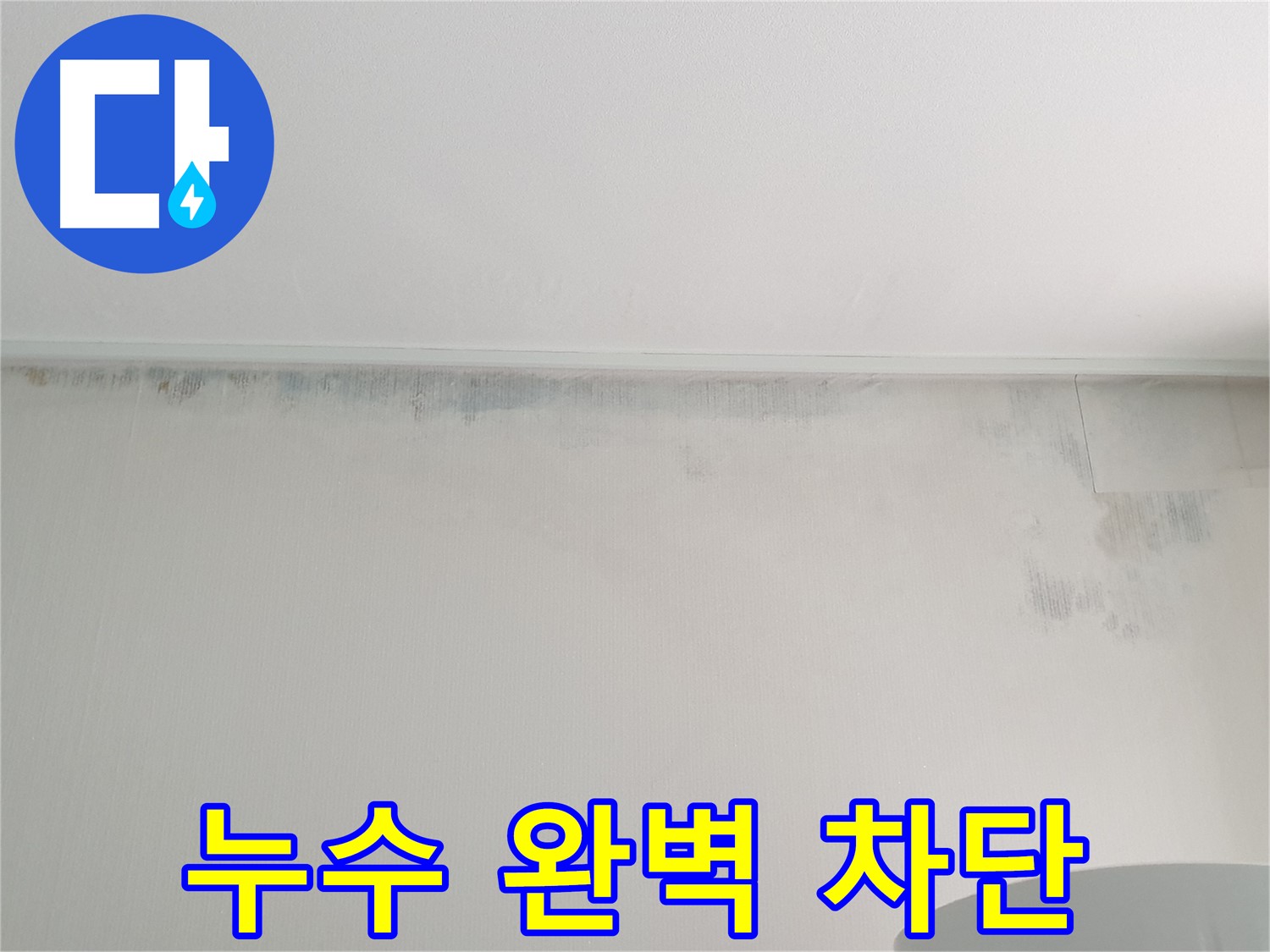 노원구 중계동 아파트 벽 곰팡이 - 누수 완벽 차단 시공