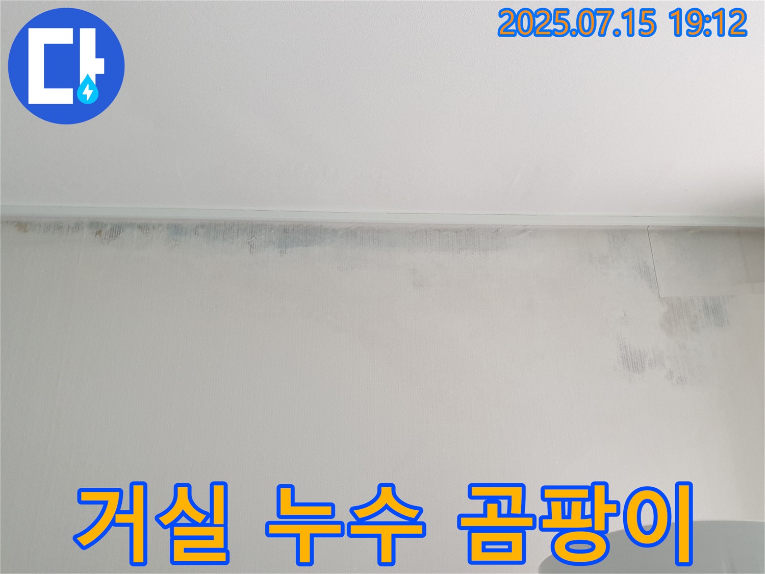 노원구 중계동 청구3차 아파트 거실 천장 누수 - 곰팡이 발생 및 누수 흔적 확인