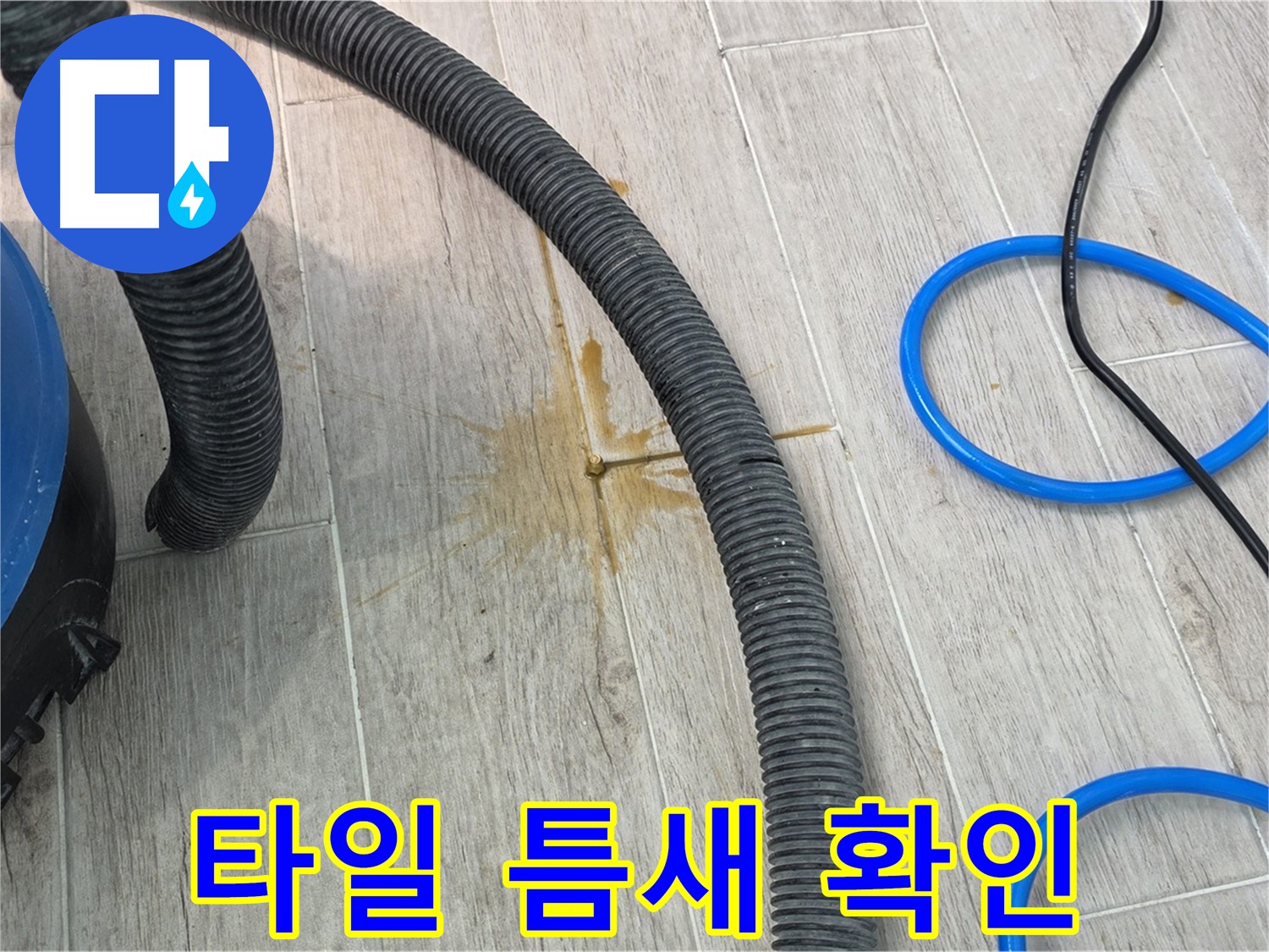 노원구 중계동 청구3차 아파트 누수 - 타일 틈새를 꼼꼼하게 확인하여 누수 해결의 핵심을 찾고 있습니다.