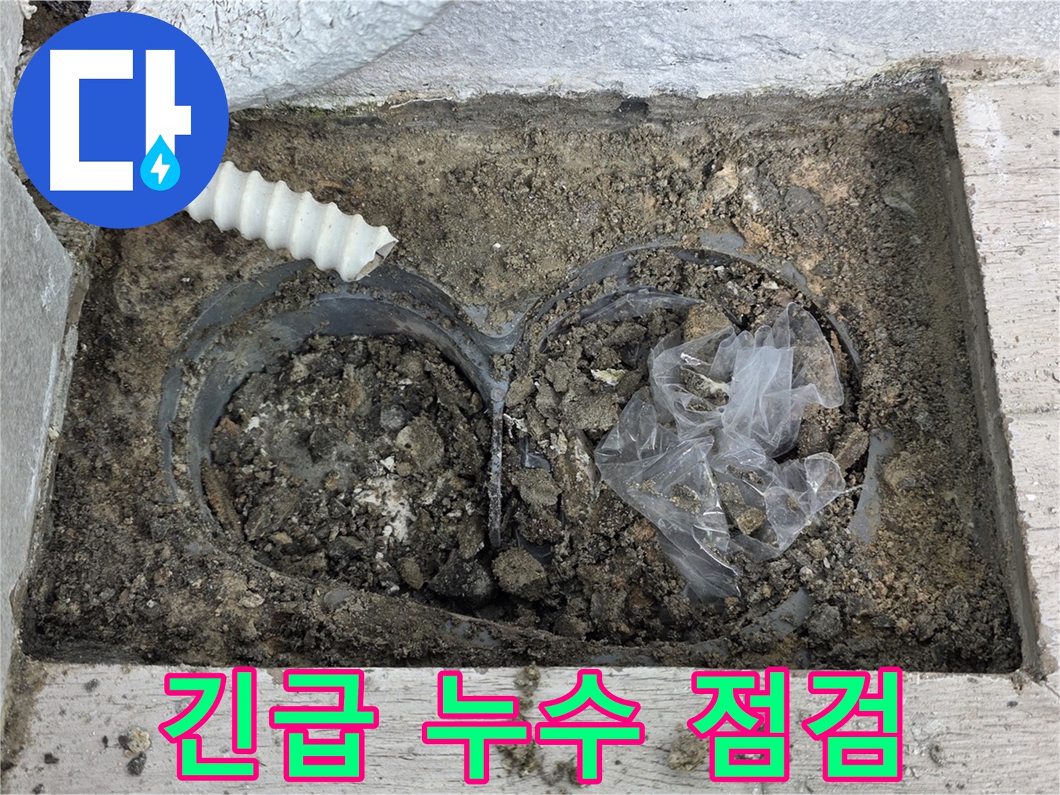 노원구 중계동 청구3차 아파트에서 외부 누수 긴급 점검을 진행하고 있습니다 - 신속한 점검으로 피해 최소화!