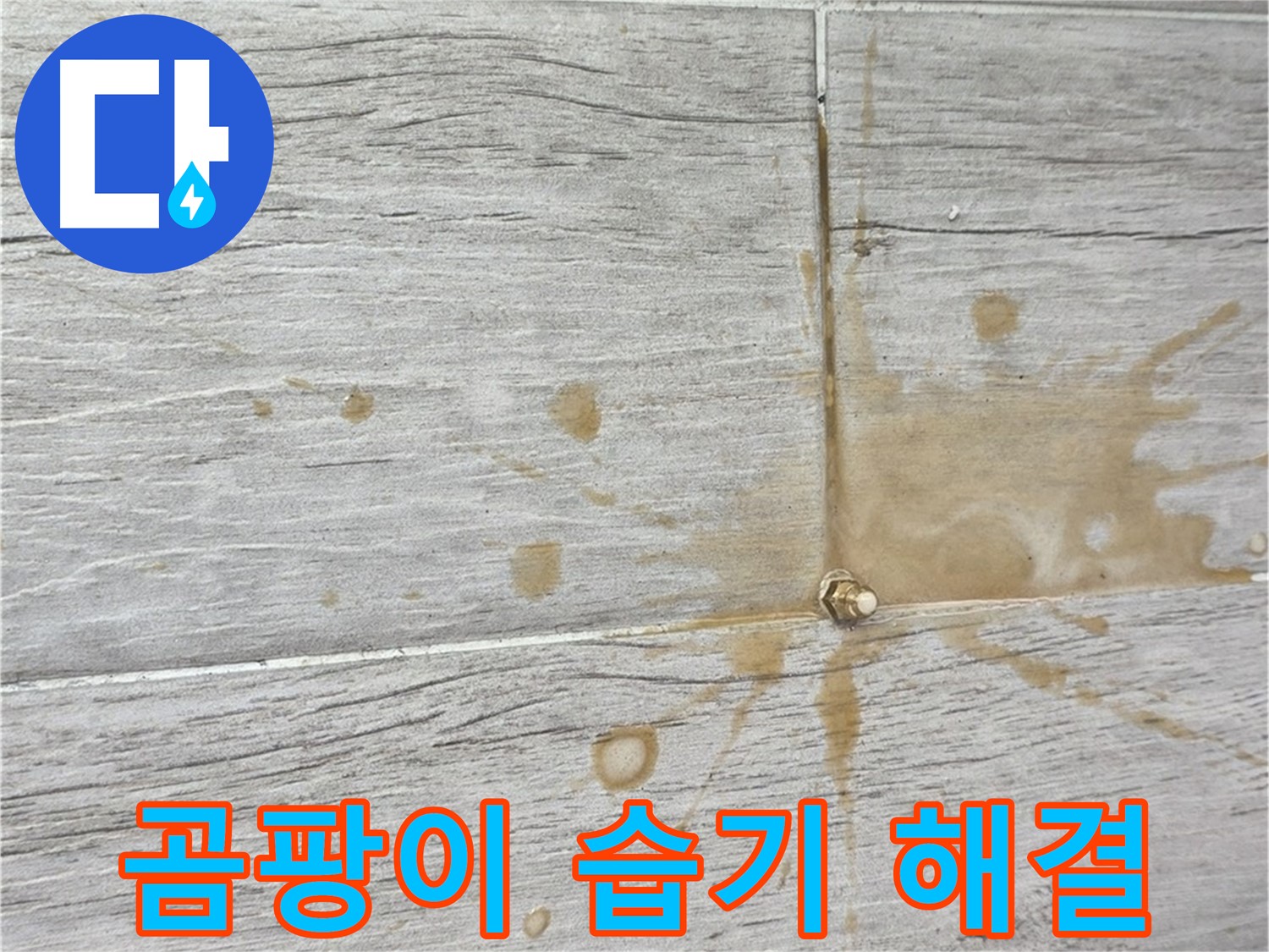 마루 곰팡이 - 습기 제거와 인젝션 방수로 쾌적하게