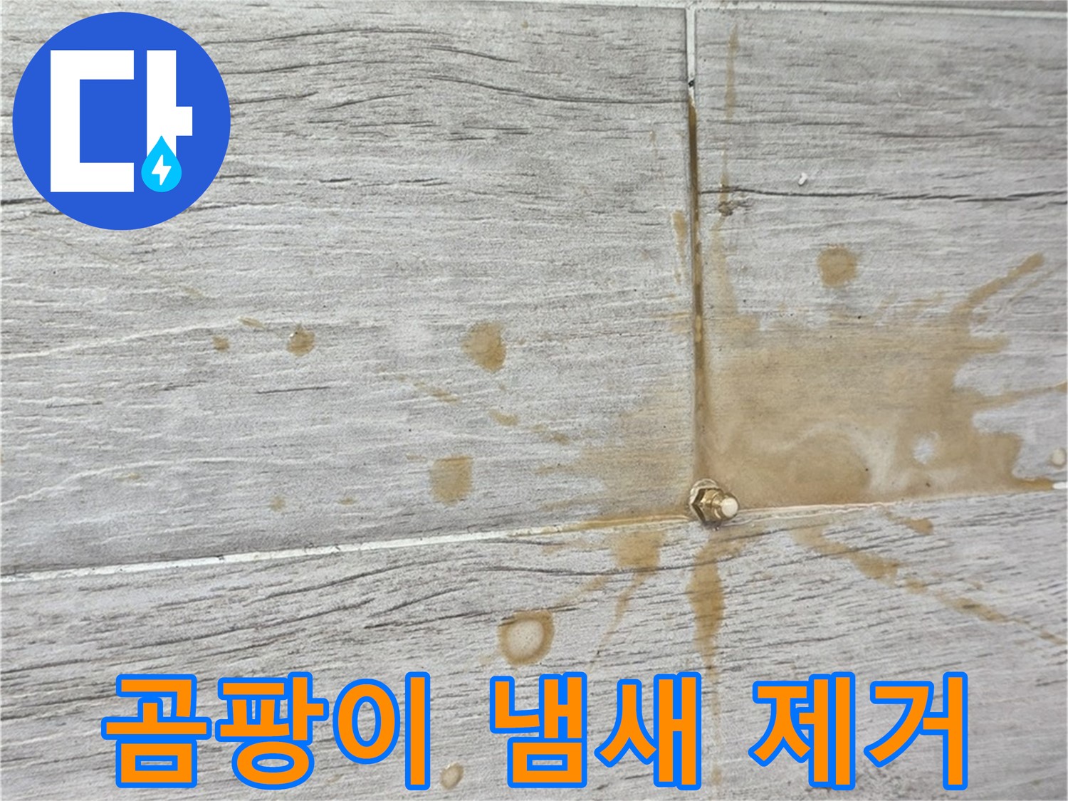 마루 틈새 곰팡이 냄새 - 친환경 인젝션 방수로 싹 잡아 누수 해결
