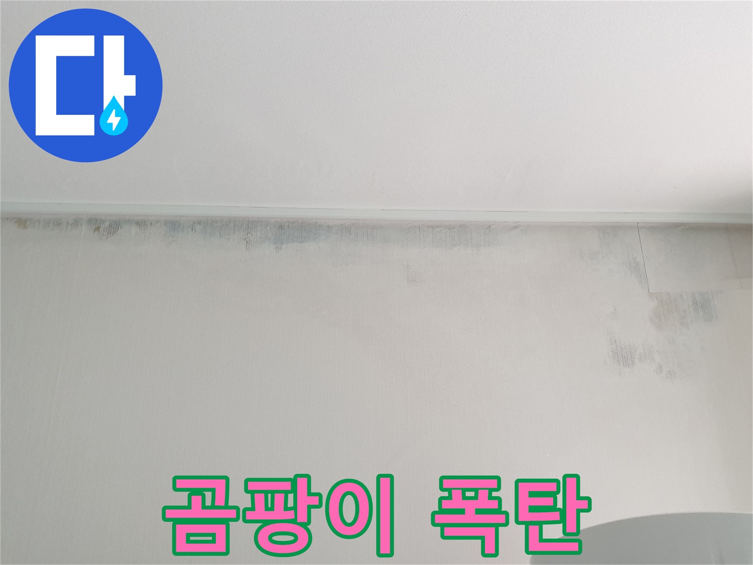 중계2동 청구3차 곰팡이 - 곰팡이 폭탄 제거