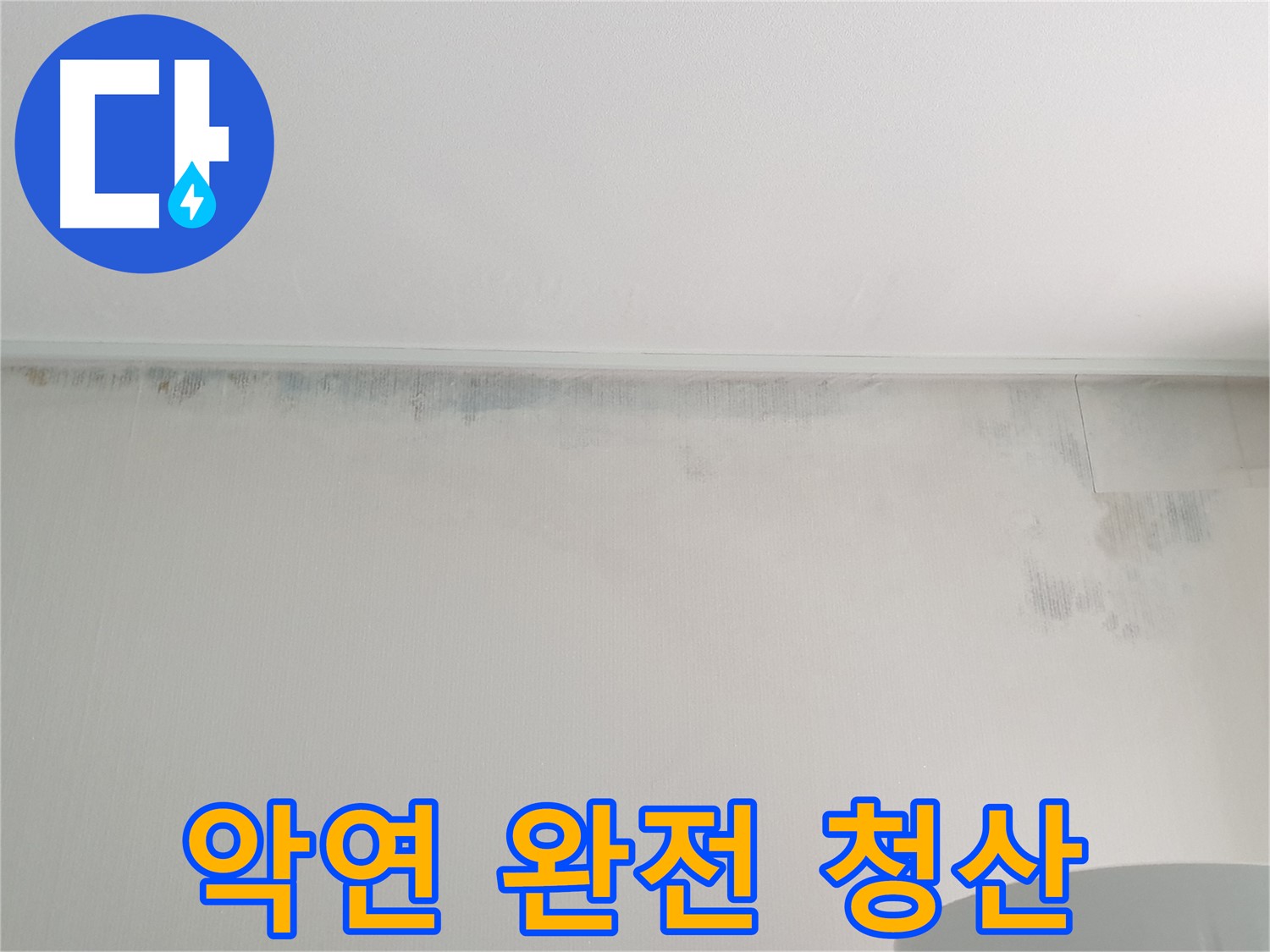 중계동 아파트 곰팡이 - 곰팡이와의 악연 완전 청산