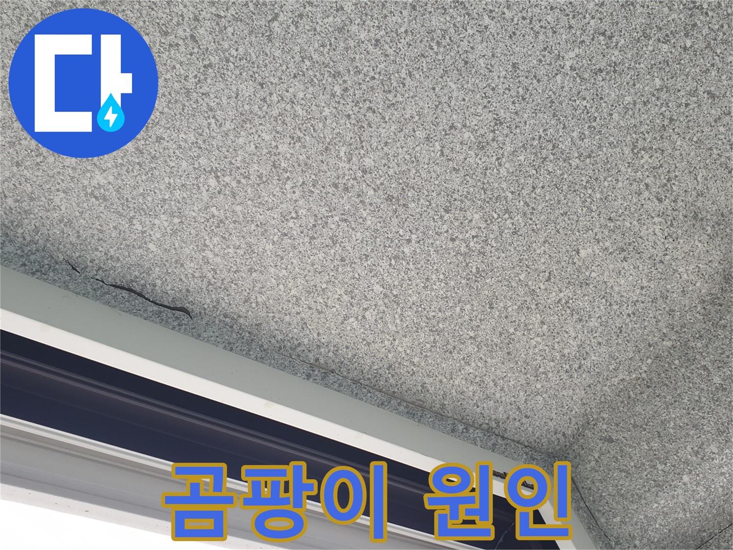 중계동 아파트 누수 - 창문 주변 곰팡이, 결로인지 누수인지 원인 규명