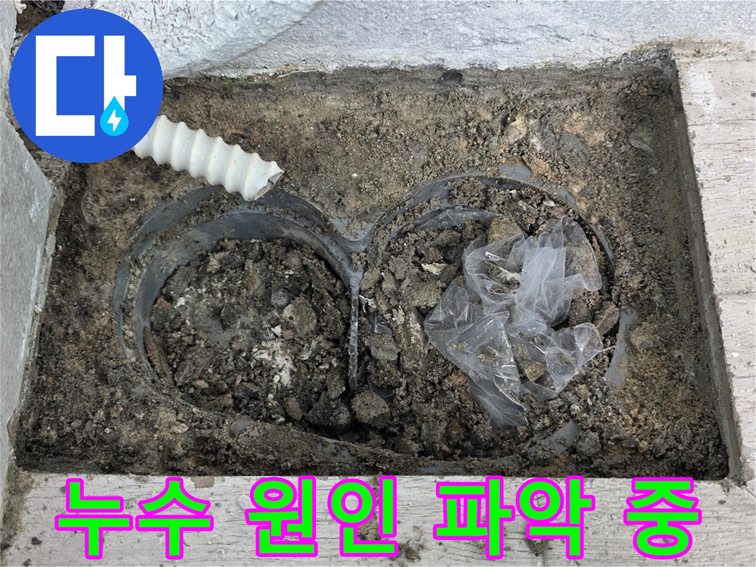 중계동 청구3차 아파트 누수 원인 파악을 위해 꼼꼼하게 주변을 점검하고 있습니다 - 노원구 누수탐지 전문 업체에서 정확한 진단을 제공합니다.