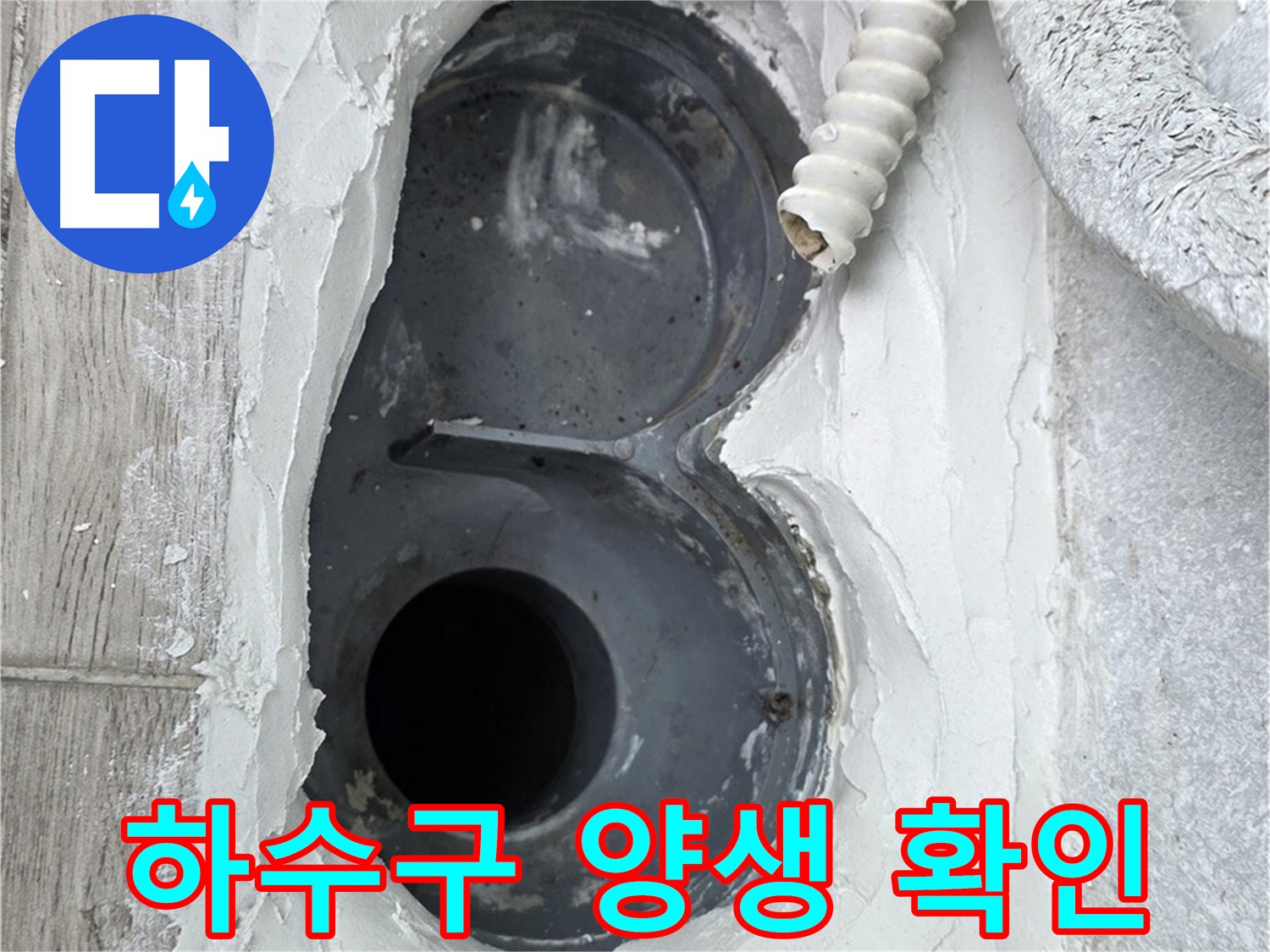중계동 청구3차 아파트 하수구 - 몰탈 양생 후 꼼꼼하게 상태 확인 중