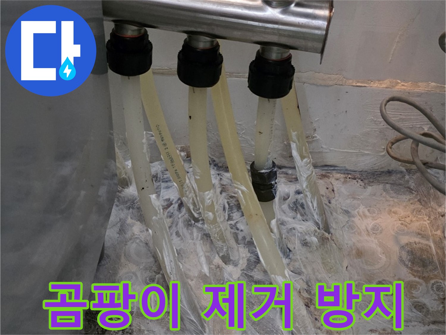 분배기 주변 벽면 곰팡이 - 꼼꼼한 제거 및 곰팡이 방지 시공으로 깨끗하게!