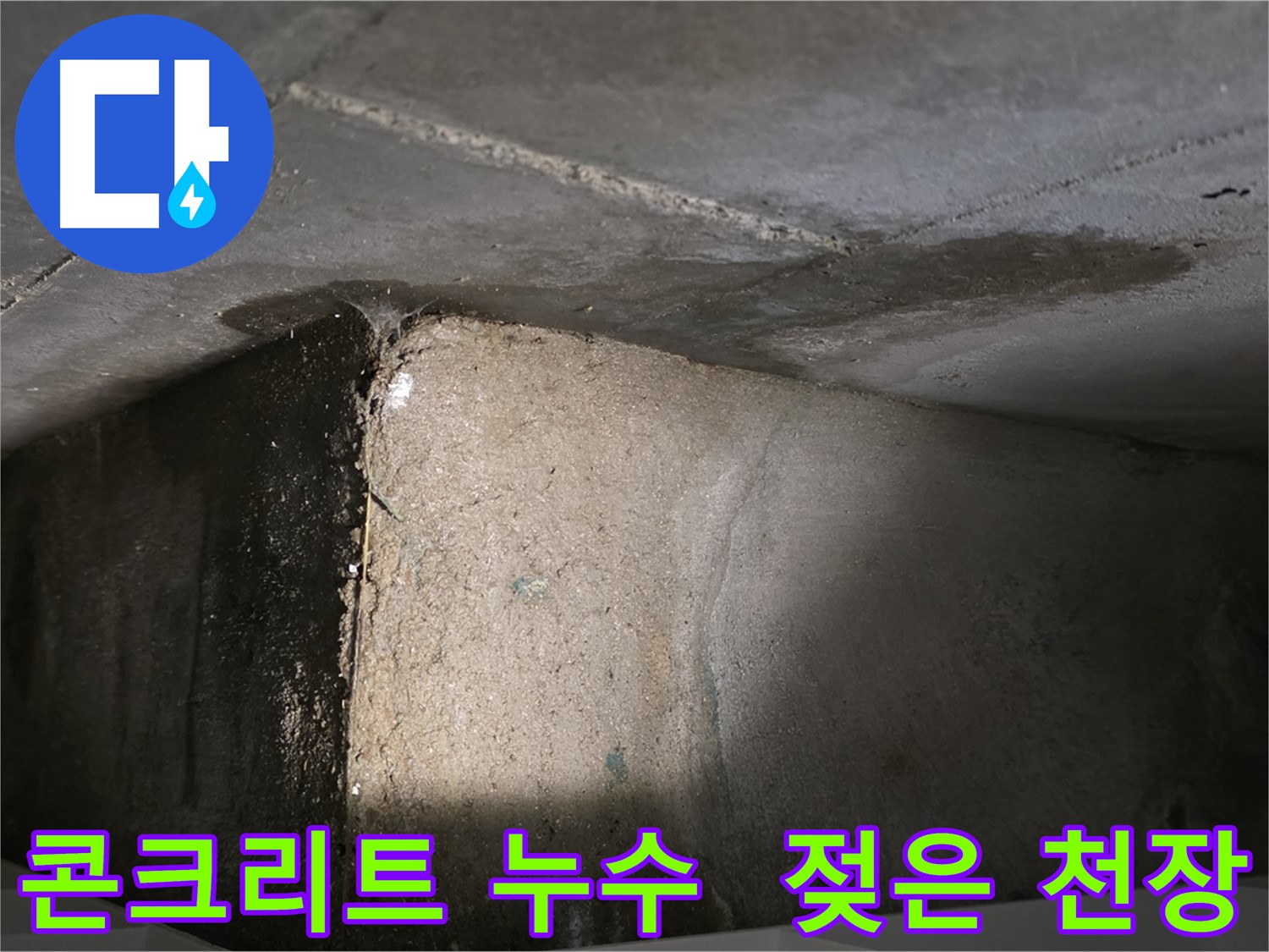 장기동 아파트 콘크리트 천장 누수 - 젖은 천장 표면과 누수 흔적