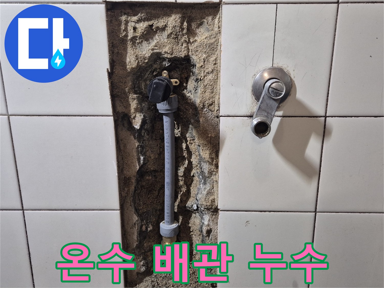 합정동 현대빌라 샤워 수전 온수 배관 누수 - 꼼꼼한 누수 탐지 및 보수