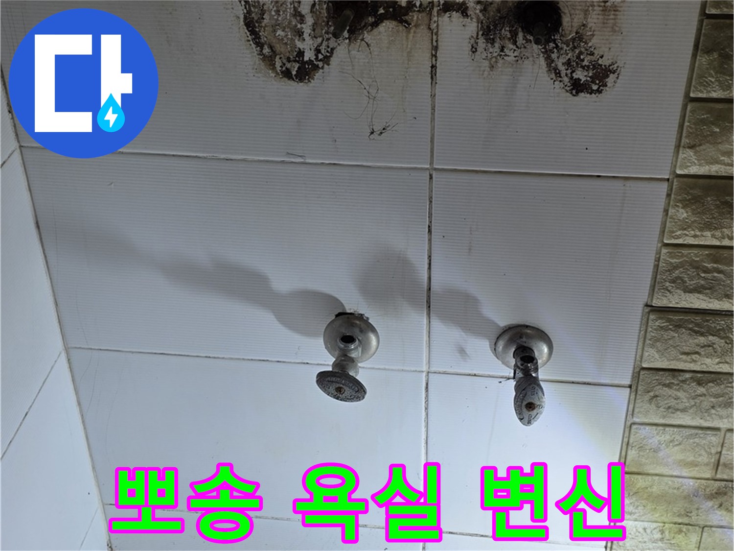 노원구 상계동 곰팡이 심한 욕실 - 누수 해결 후 뽀송뽀송하게 변신시켜 드립니다.
