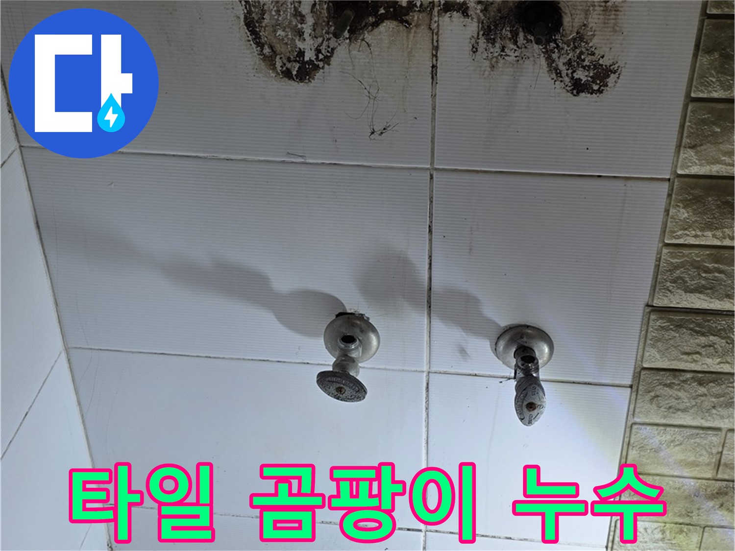 노원구 상계동 욕실 타일 사이 곰팡이 - 숨겨진 누수를 찾아 완벽하게 해결하는 전문 업체를 소개합니다.