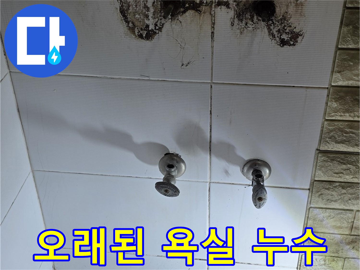 노원구 오래된 아파트 욕실 타일 뒤 누수 문제 해결 - 누수탐지 전문 기술로 완벽하게 차단합니다.