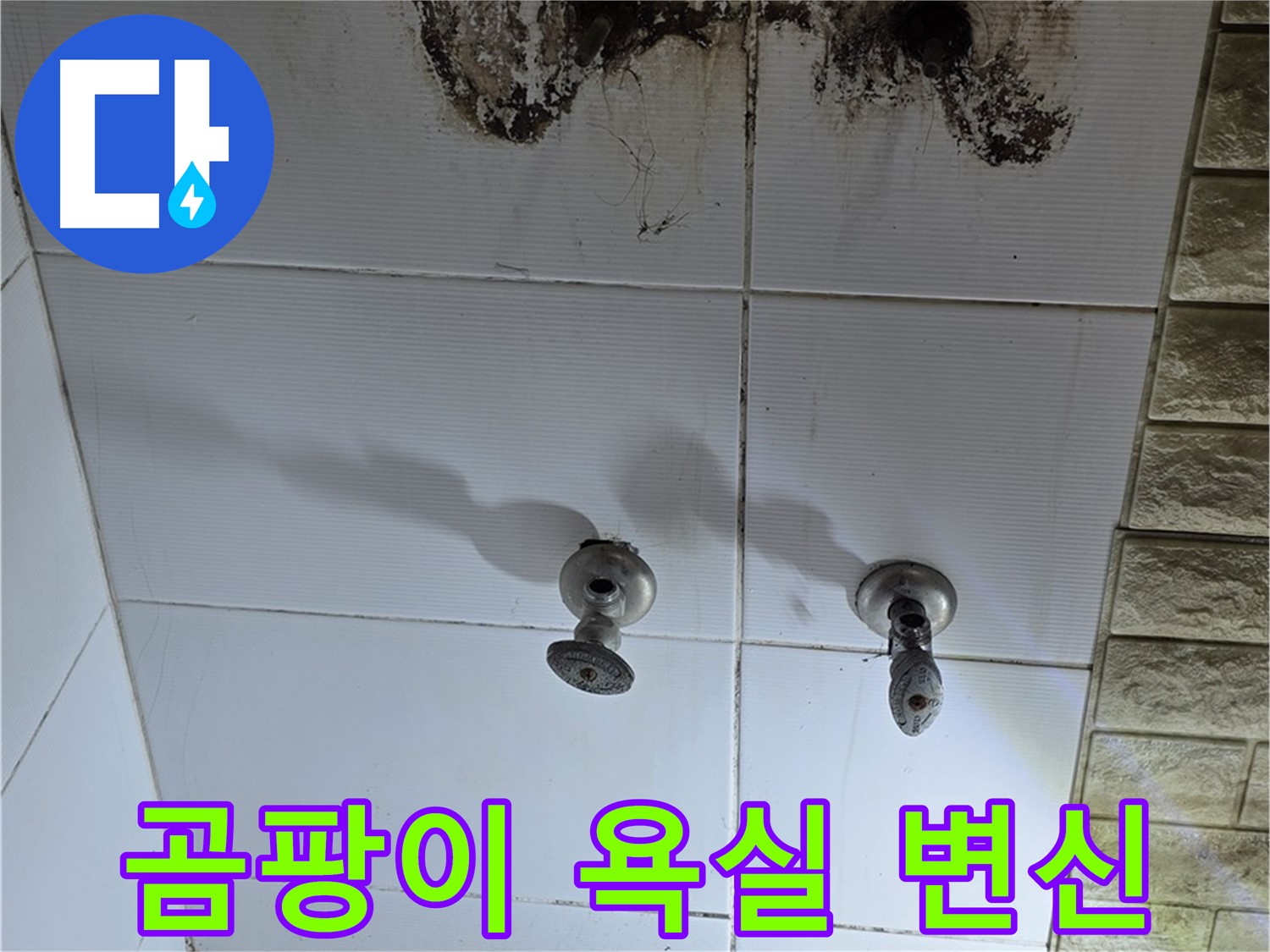 상계동 곰팡이 가득한 욕실 - 누수 문제를 해결하고 깨끗하게 변신시켜 드립니다.