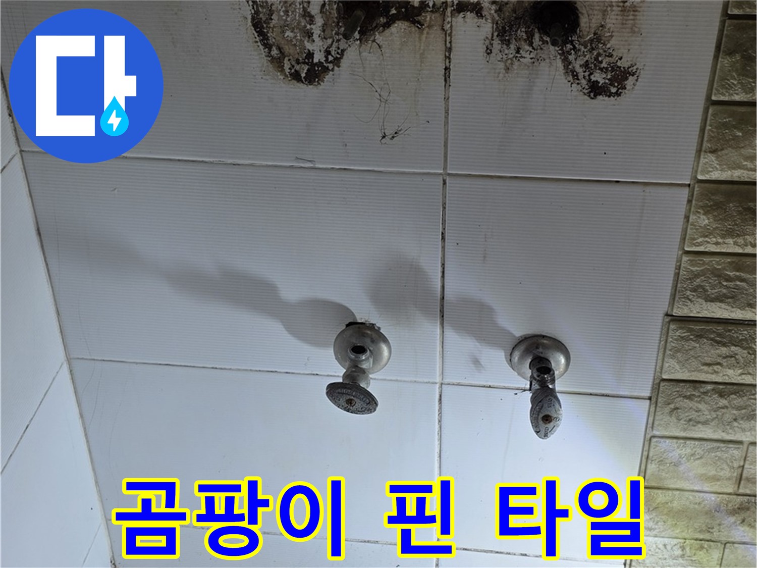 상계동 곰팡이 핀 욕실 타일 - 누수 원인을 정확히 파악하고 곰팡이까지 깨끗하게 제거해 드립니다.