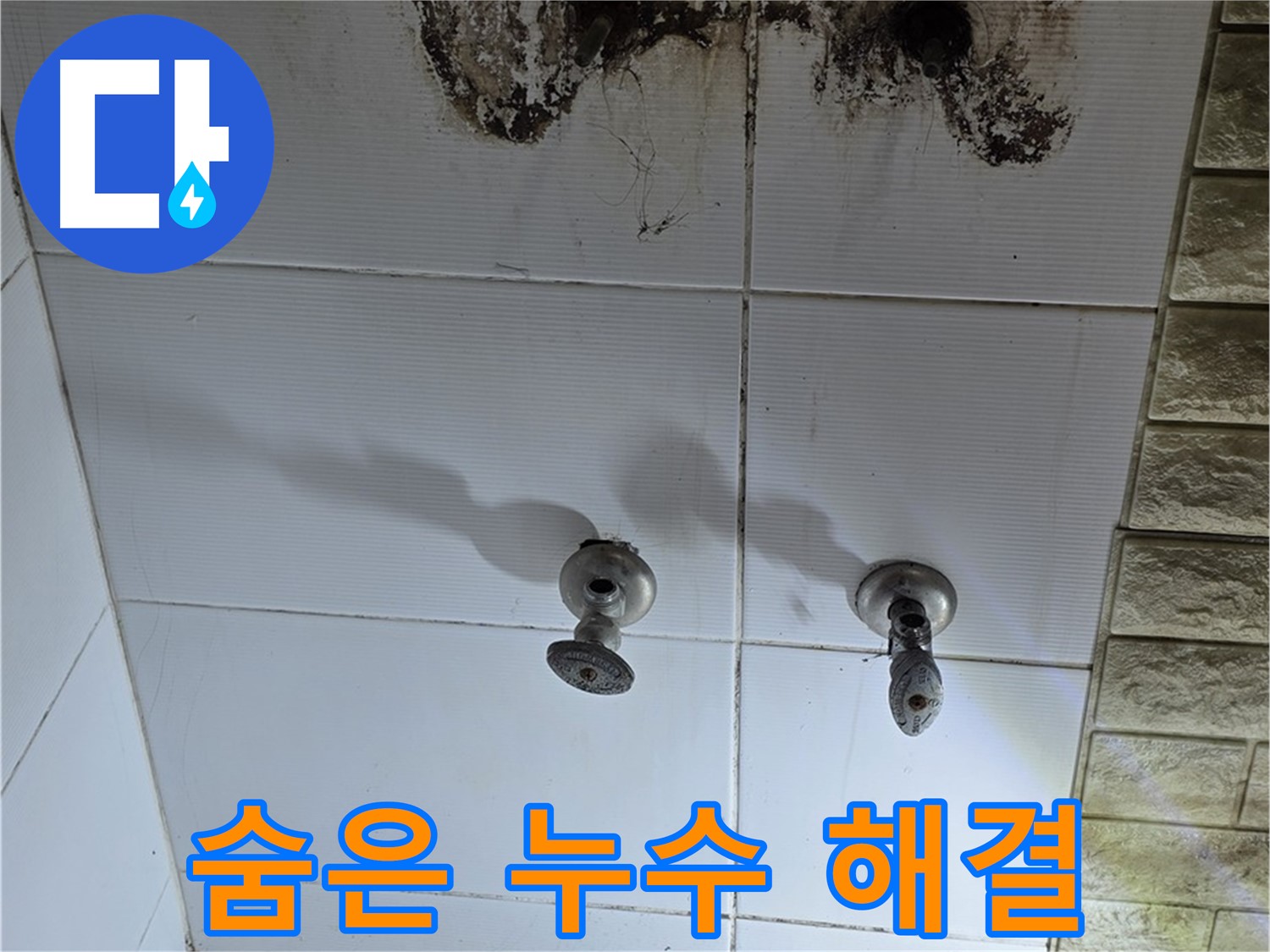 상계동 빌라 곰팡이 핀 욕실 - 숨겨진 누수를 찾아 완벽하게 해결하는 전문 업체를 소개합니다.