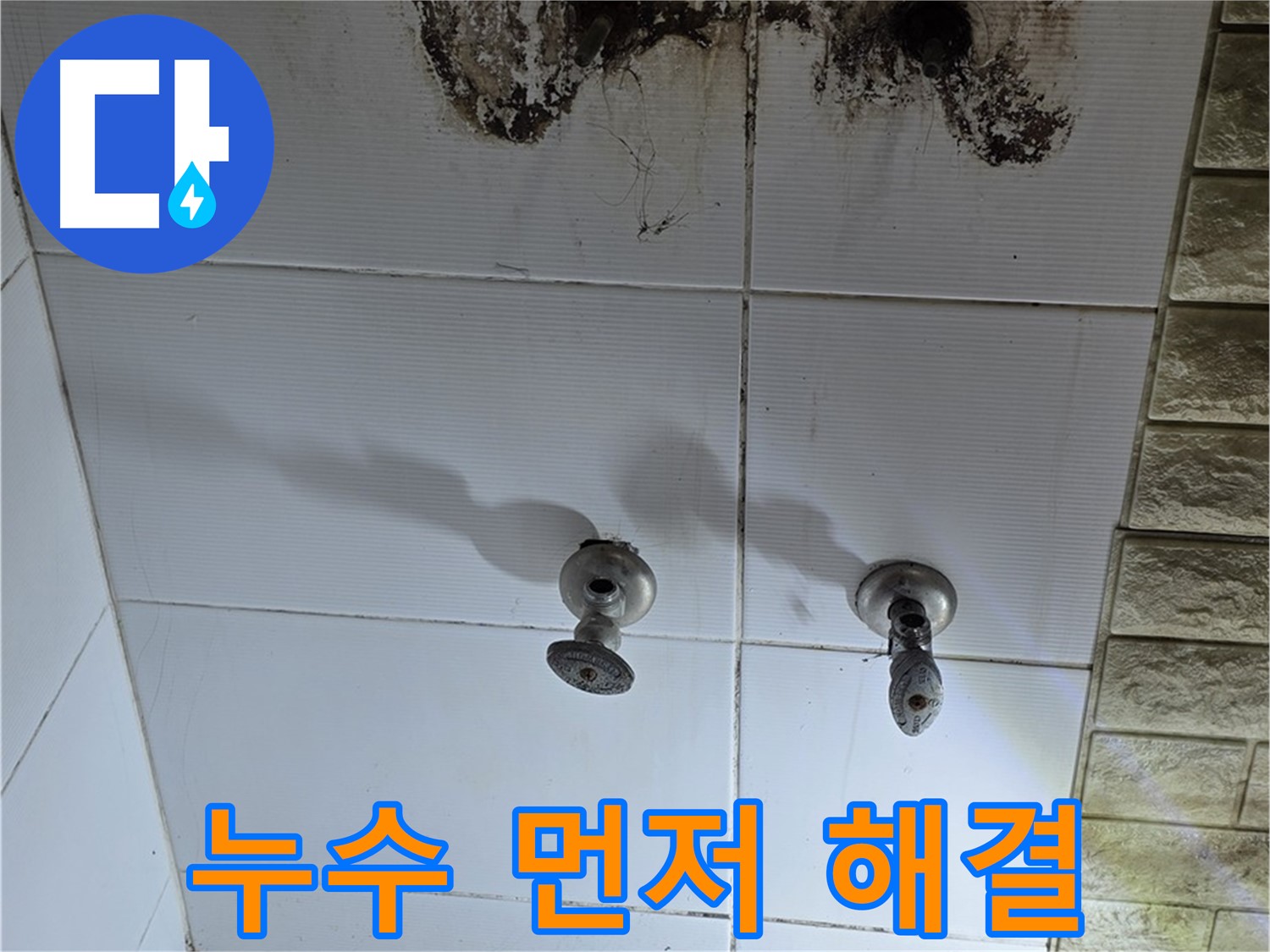상계동 욕실 곰팡이 - 곰팡이 제거 전에 누수부터 잡아야 재발을 막을 수 있습니다.