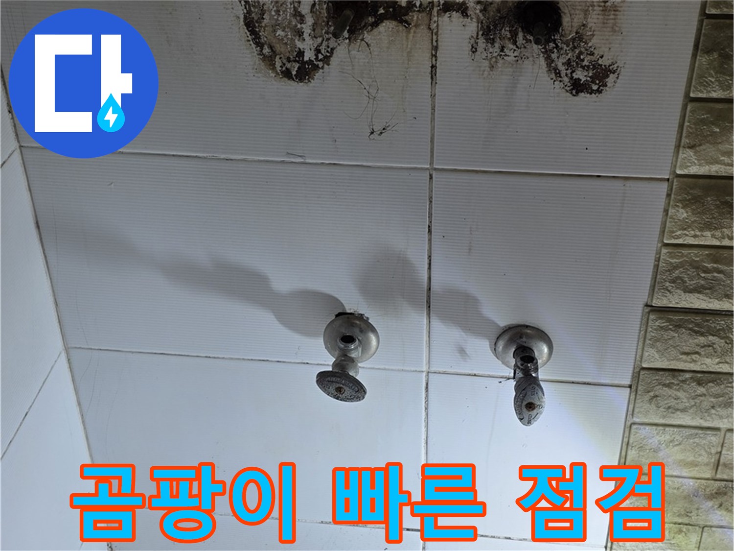 상계동 욕실 곰팡이 방치 금지 - 빠른 점검과 해결로 건강하고 쾌적한 욕실을 만드세요.