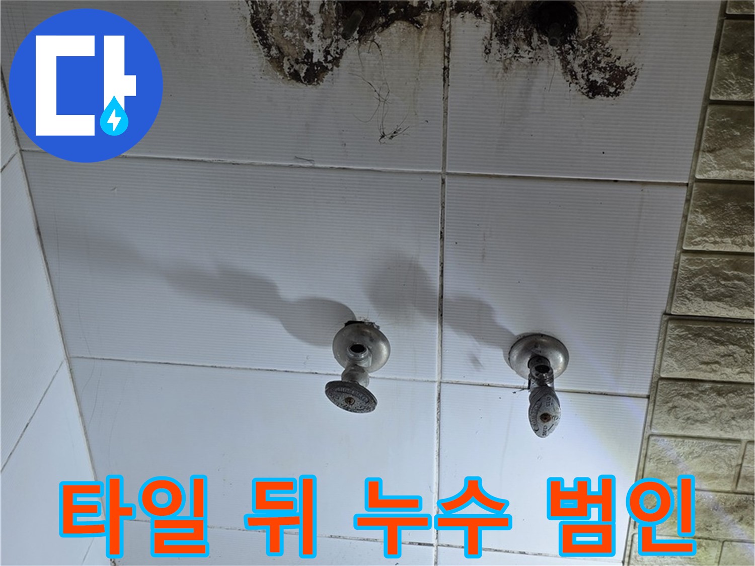상계동 욕실 타일 뒤 곰팡이 - 숨은 누수를 찾아 해결하는 전문 업체를 소개합니다.