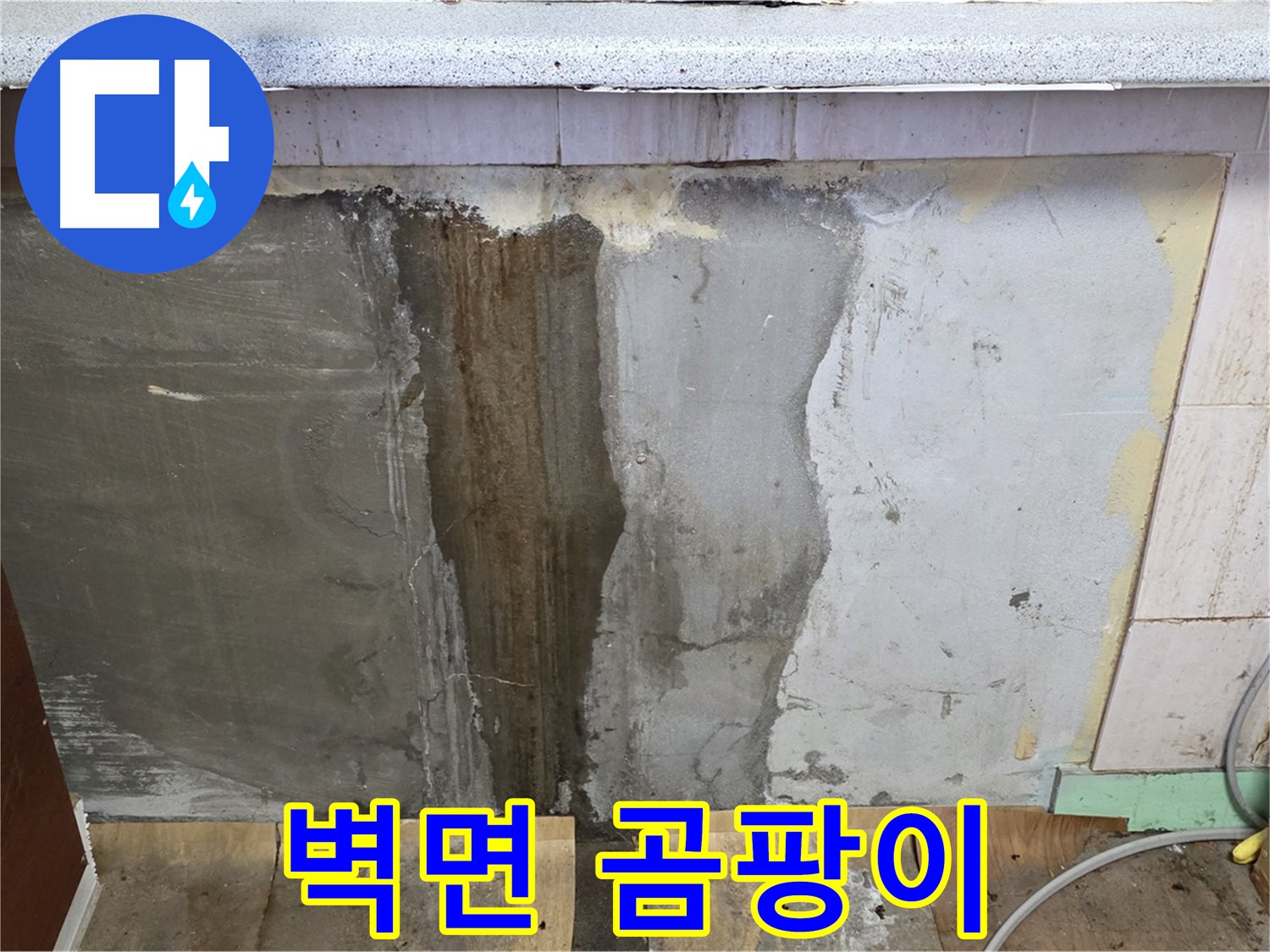 벽면 곰팡이 - 누수로 인해 싱크대 뒤 벽면에 곰팡이가 발생한 모습입니다.