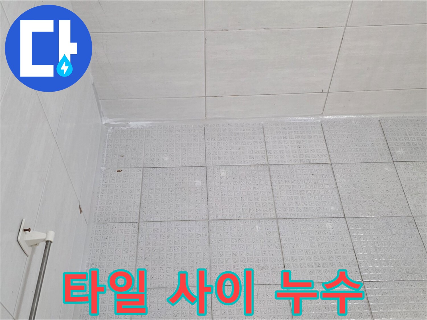 과천 문원동 욕실 벽-바닥 타일 사이 누수 - 누수탐지 전문가의 꼼꼼한 실리콘 시공
