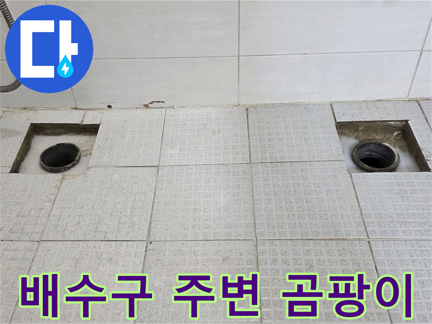 과천 중앙 하이츠 욕실 - 배수구 주변 곰팡이 발견 - 누수가 오래된 것 같아요.