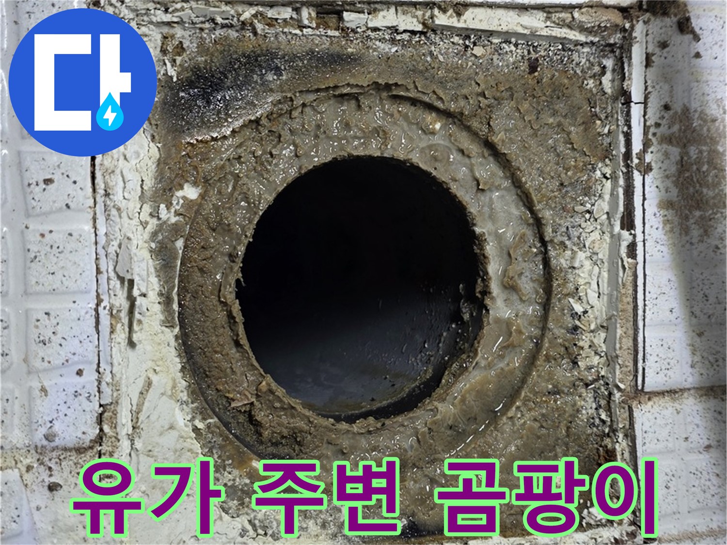 과천시 문원동 문원청계1길 욕실 유가 주변 곰팡이 발생 - 누수 가능성 높음