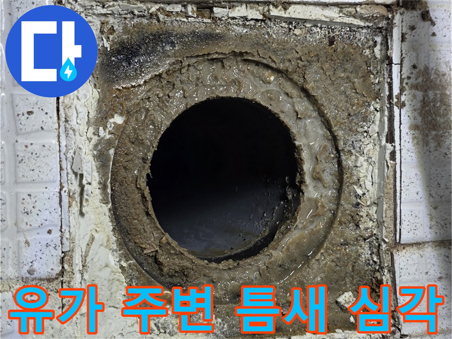 과천시 문원동 욕실 유가 주변 틈새 심각 - 아랫집 누수 가능성 긴급 확인