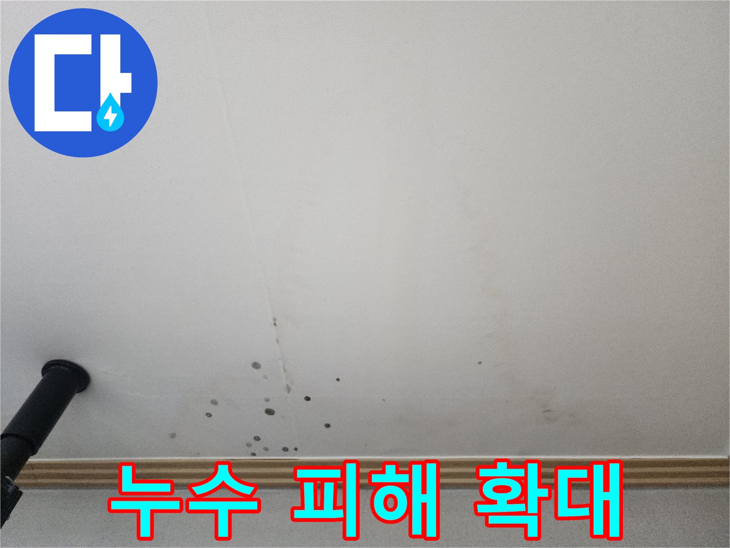 누수 피해 확대 - 누수 방치는 더 큰 피해로 이어집니다.