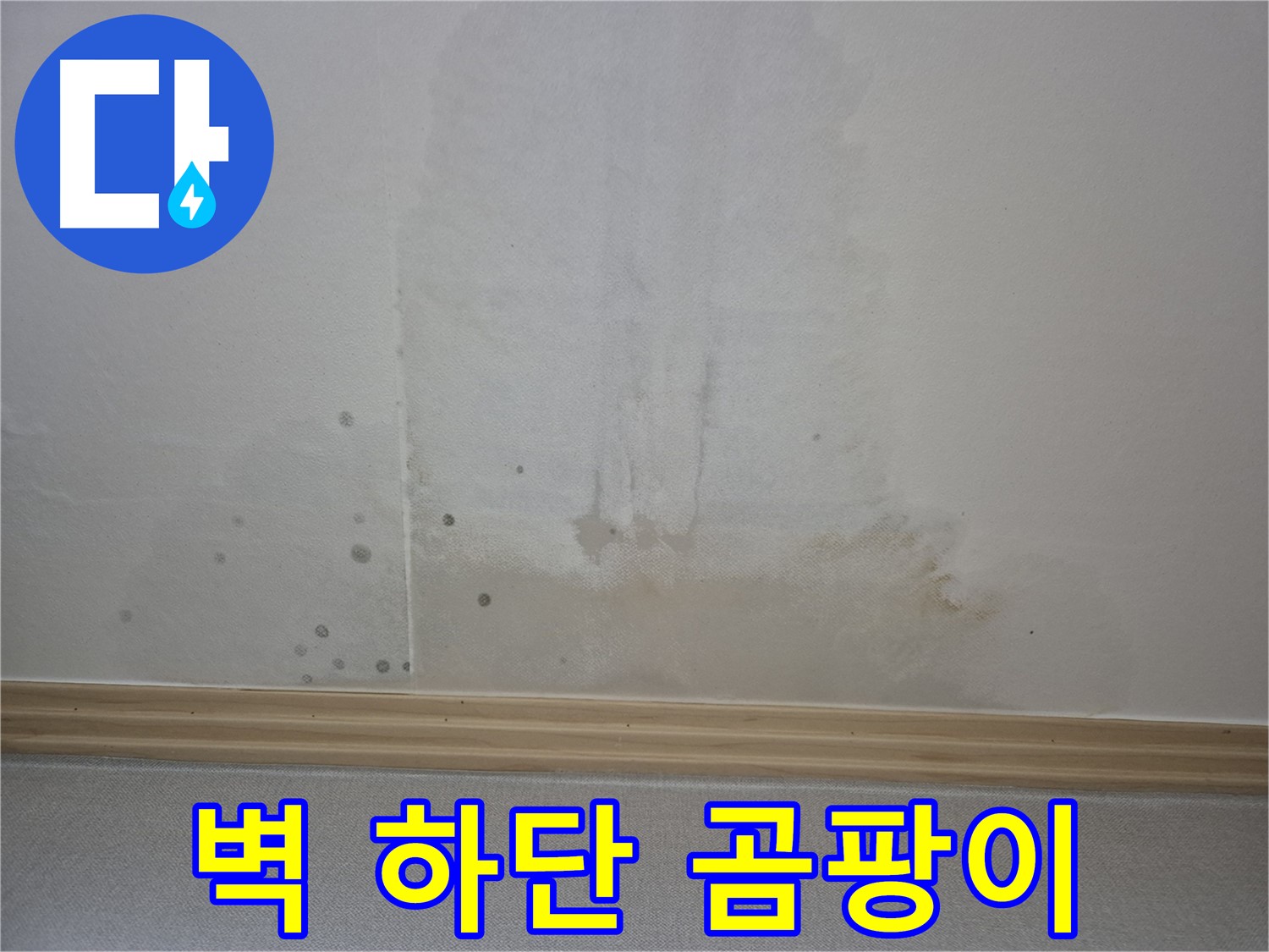 벽 하단에 곰팡이와 악취 - 심각한 누수 상황을 보여주는 사진