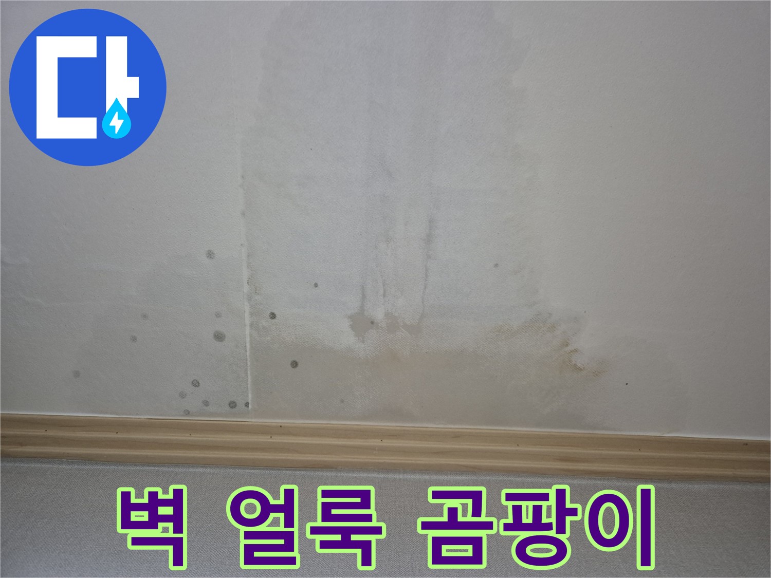 벽에 생긴 물 얼룩 - 곰팡이 발생 가능성을 경고하는 사진