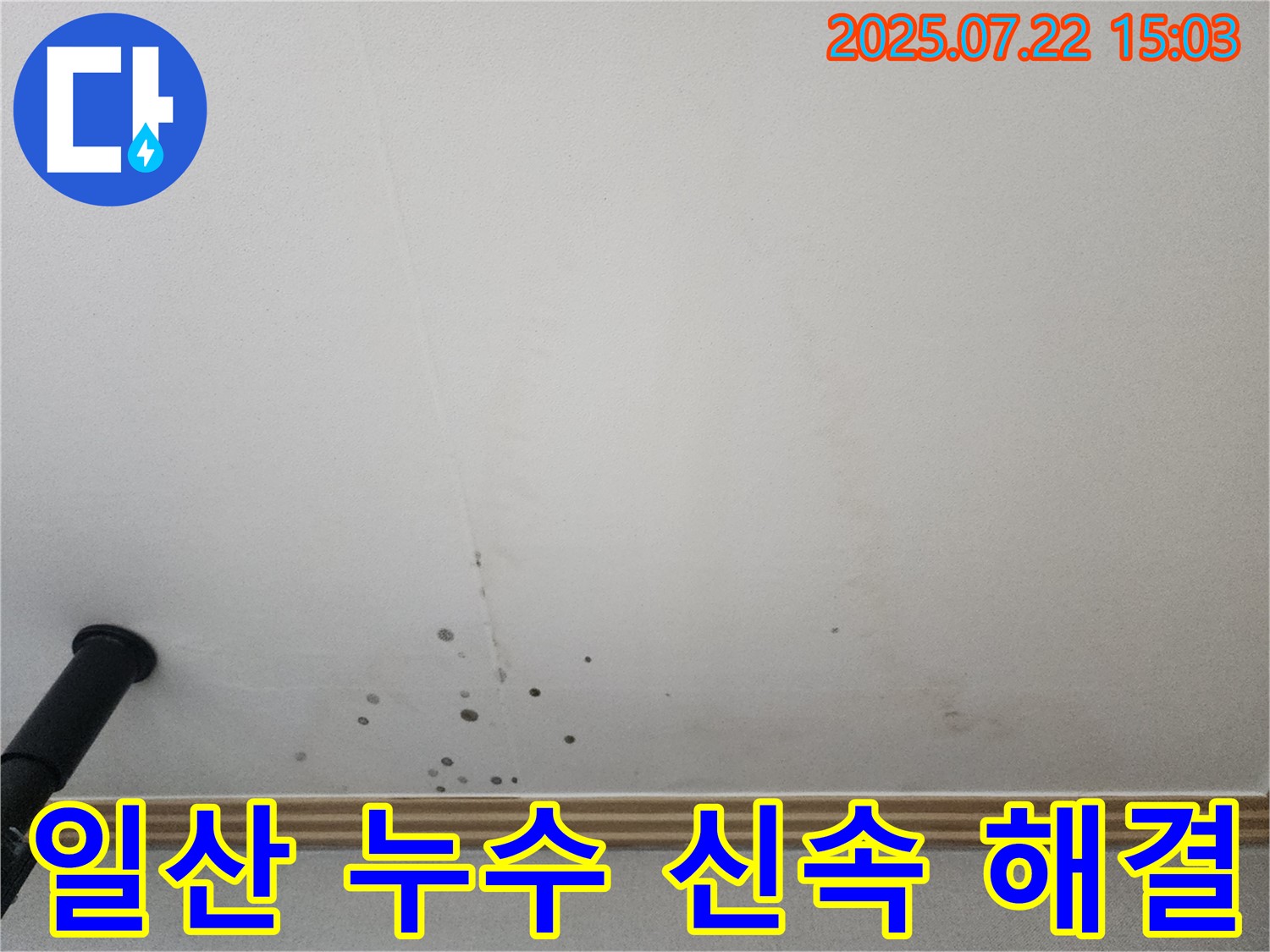 일산서구 가좌동 누수 - 가좌2로 다세대 주택 누수, 신속하게 진단하고 해결합니다.