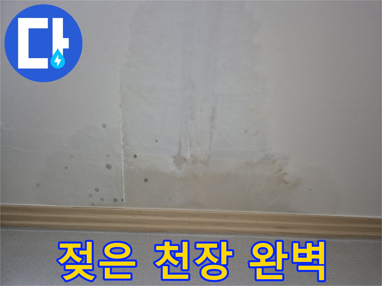 젖은 천장 완벽 해결 - 숙련된 기술로 완벽하게 시공하는 모습