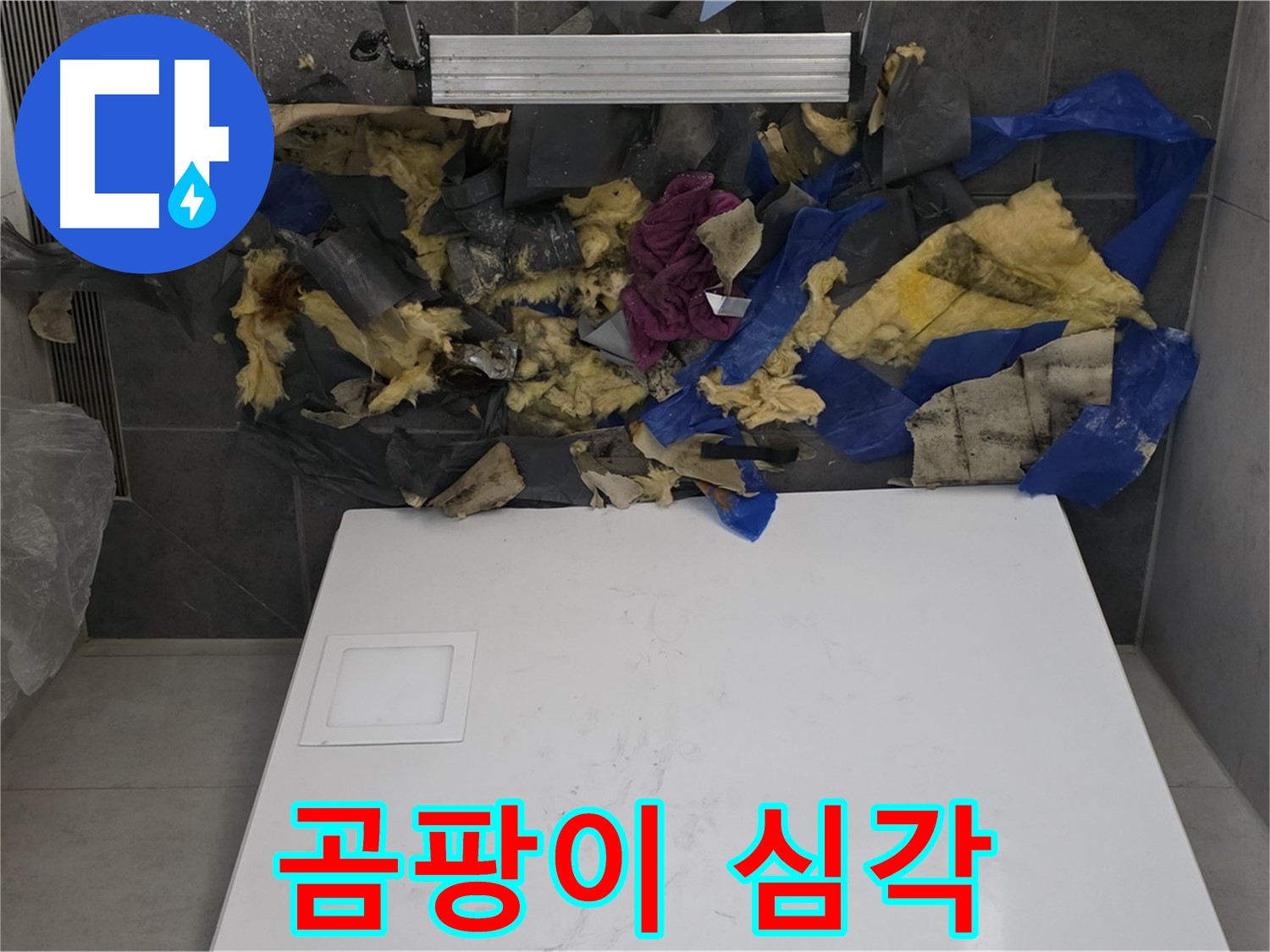 노원구 중계동 라이프청구신동아 108동 욕실 천장 누수 - 젖은 단열재의 심각한 곰팡이 상태