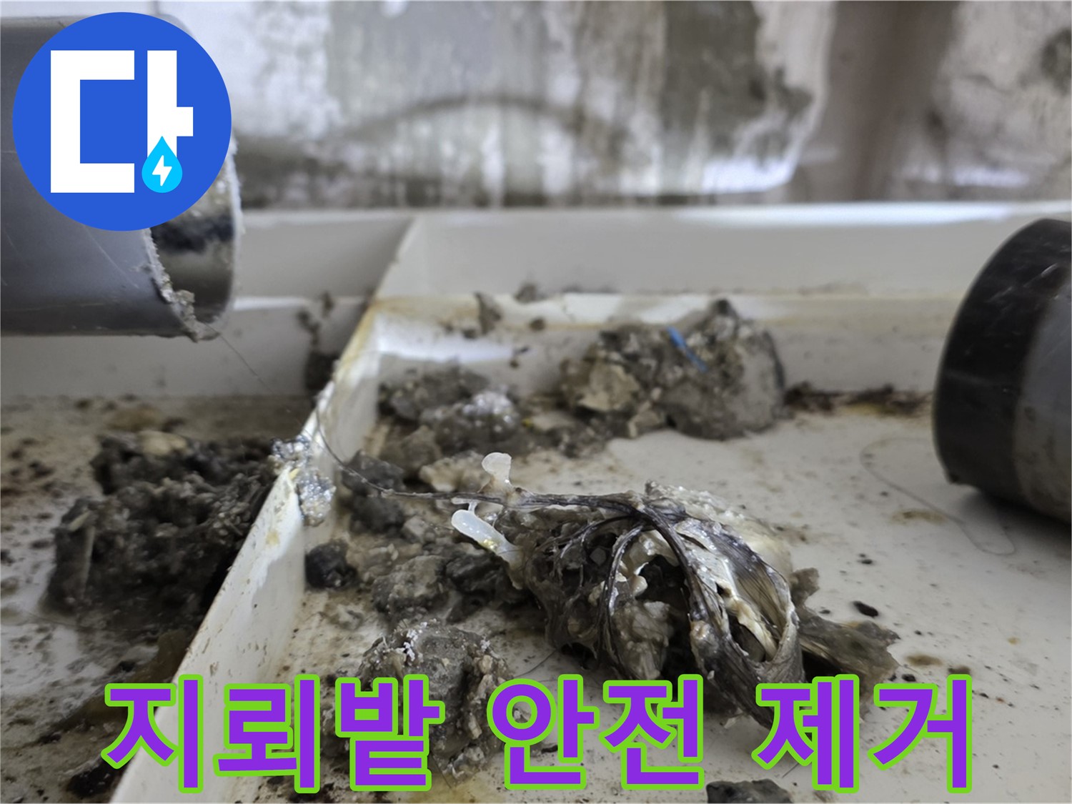 노원구 중계동 라이프청구신동아아파트 - 배관 속 '지뢰밭' 안전 제거, 누수 위험 해소
