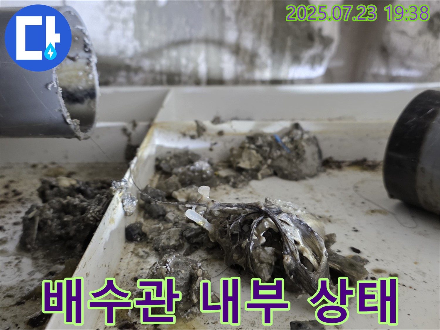 중계동 라이프청구신동아 아파트 - 배수관 내부를 가득 채운 기름 슬러지