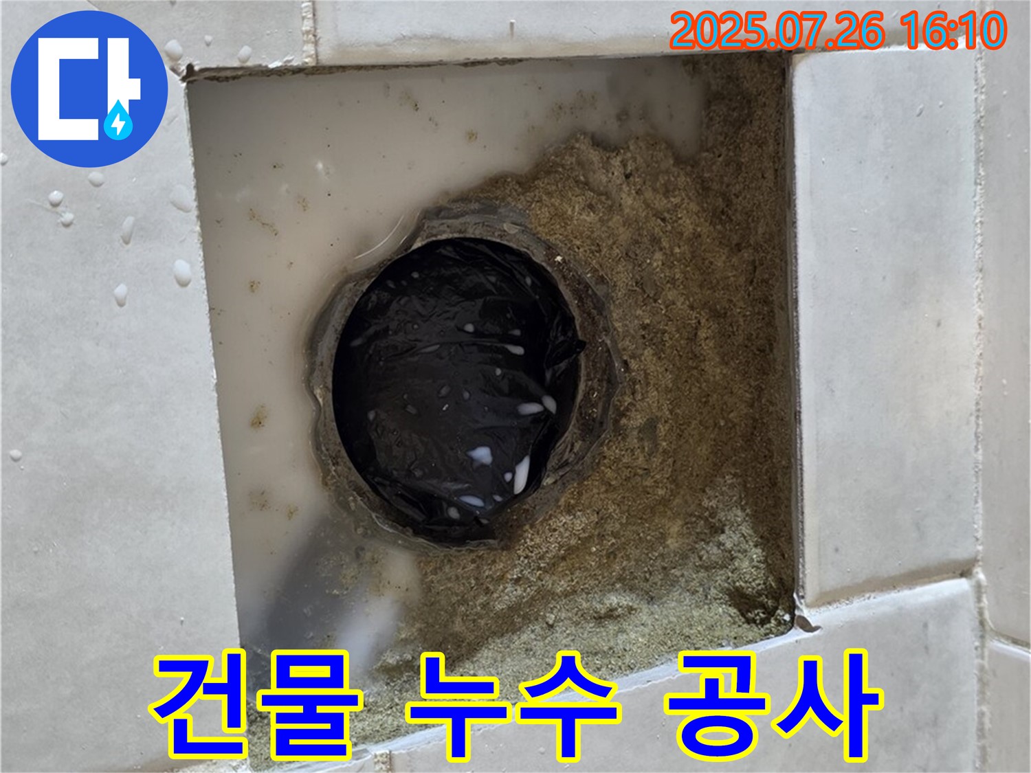 과천 문원동 건물 욕실 배수구 주변 누수 - 꼼꼼한 진단과 완벽 공사