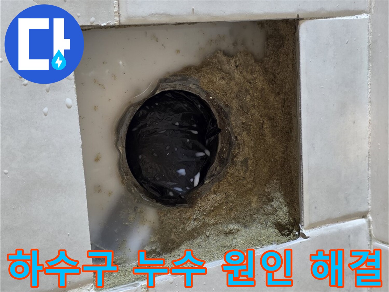 과천 문원동 욕실 하수구 누수 - 낡은 하수구와 주변의 습기, 정확한 원인 파악과 완벽한 해결