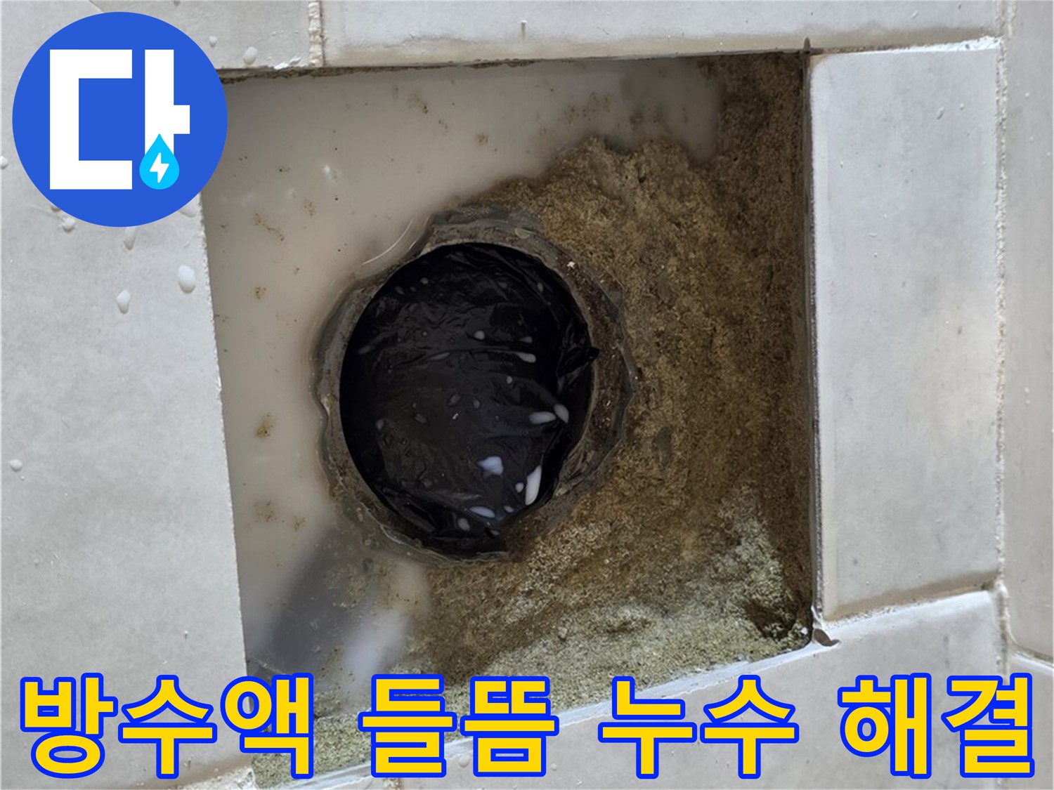 과천 문원동 욕실 하수구 주변 방수액 들뜸 누수 - 들뜬 방수액, 꼼꼼하게 재시공하고 완벽하게 해결