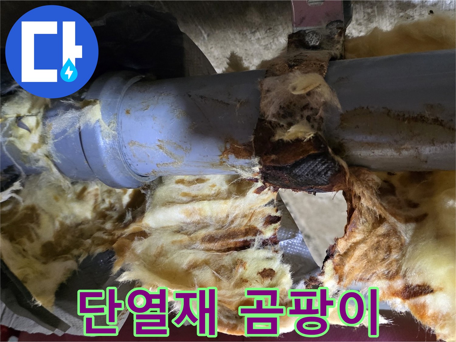 남양주 두산아파트 누수 - 배관 누수로 인해 단열재에 곰팡이가 슬기 시작했습니다.