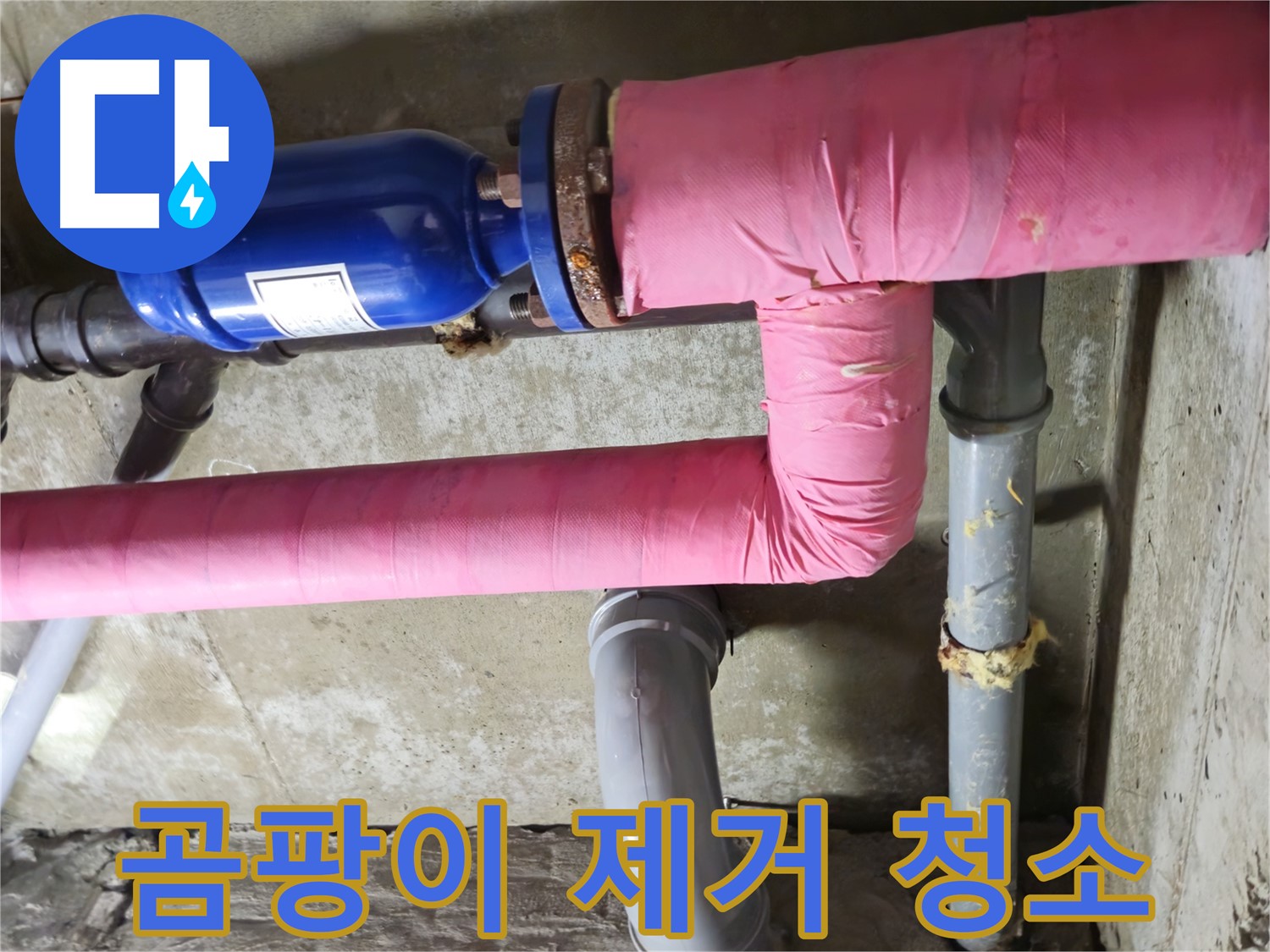 남양주 화도 창현 두산아파트 누수 - 누수 해결 후 곰팡이 걱정 싹! 깨끗하게 청소!